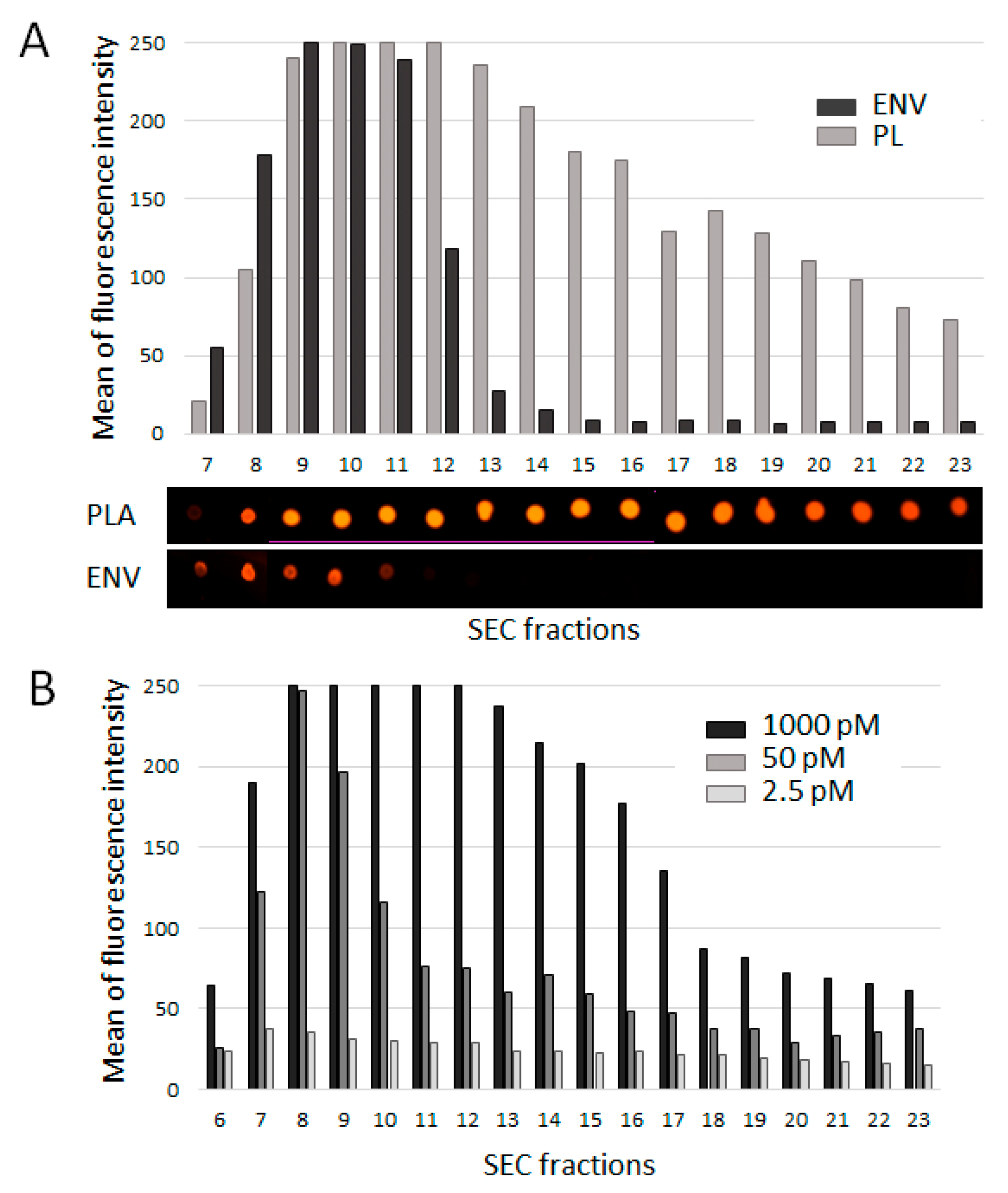 Membranes 11 00526 g003 550