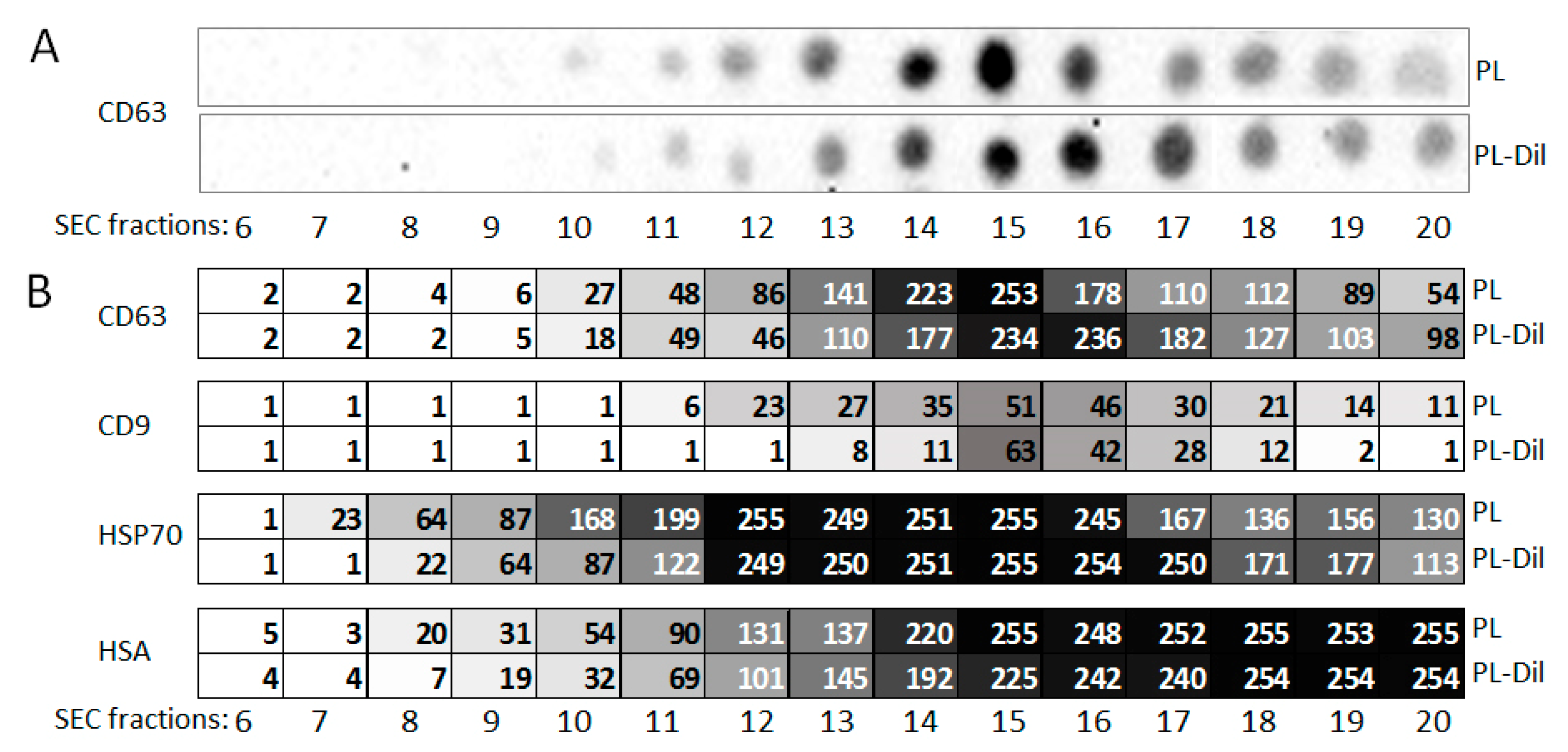 Membranes 11 00526 g006 550