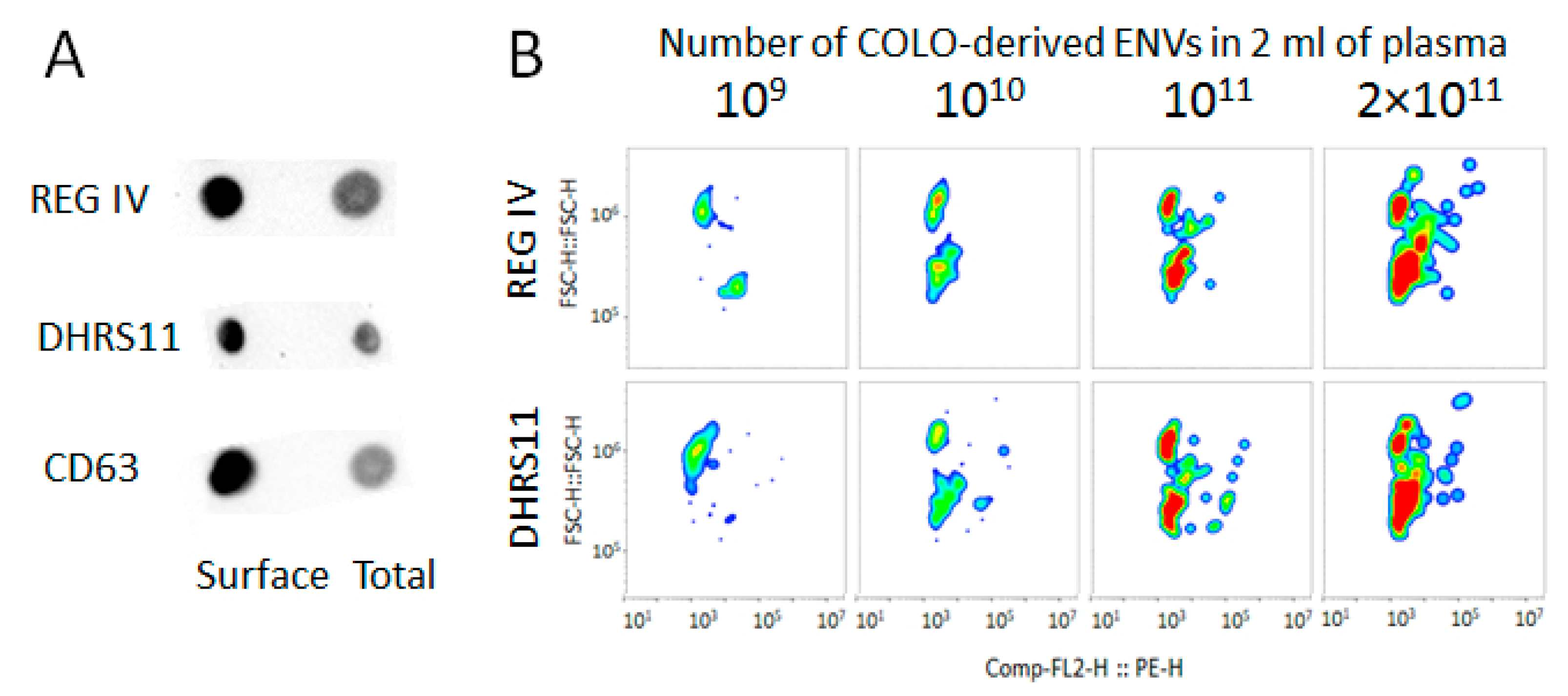 Membranes 11 00526 g008 550