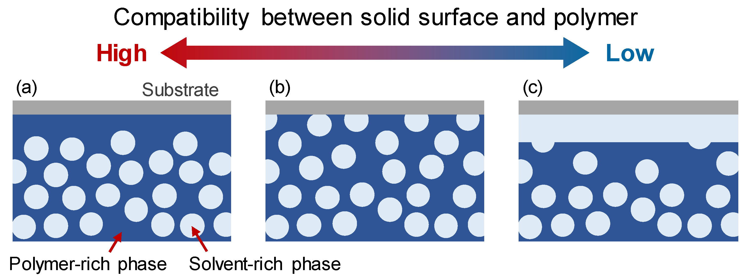 Membranes 11 00527 g009