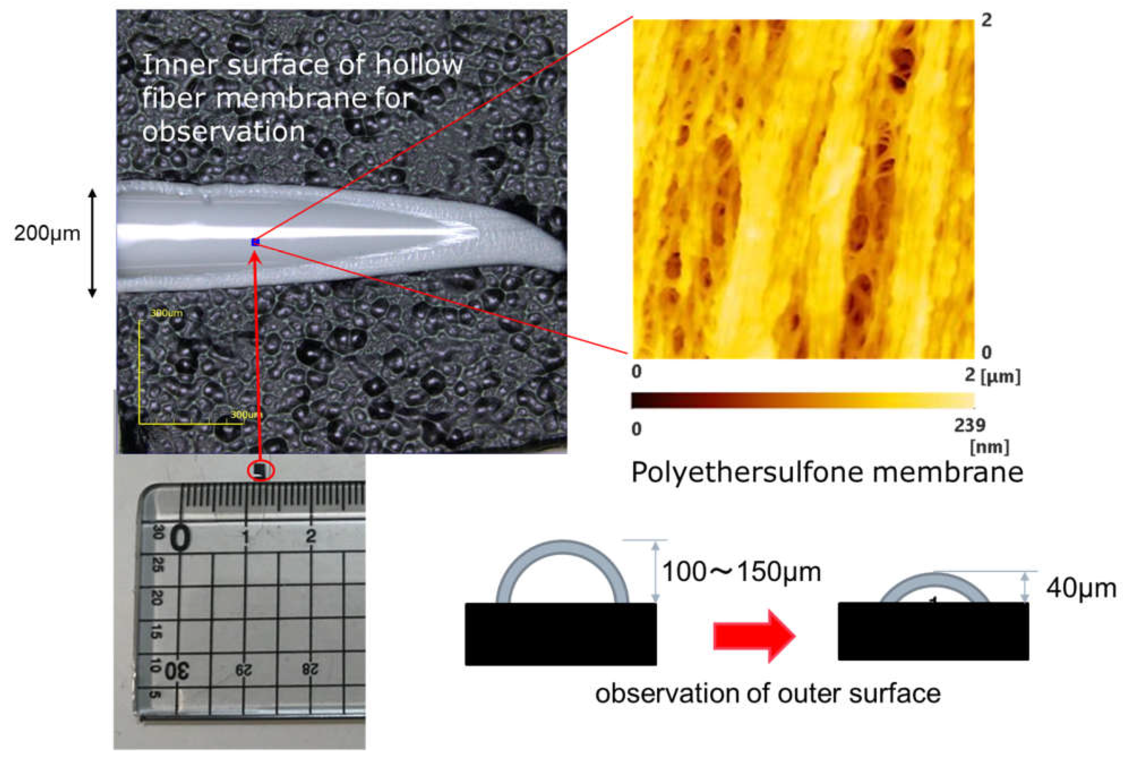 Membranes 11 00529 g001