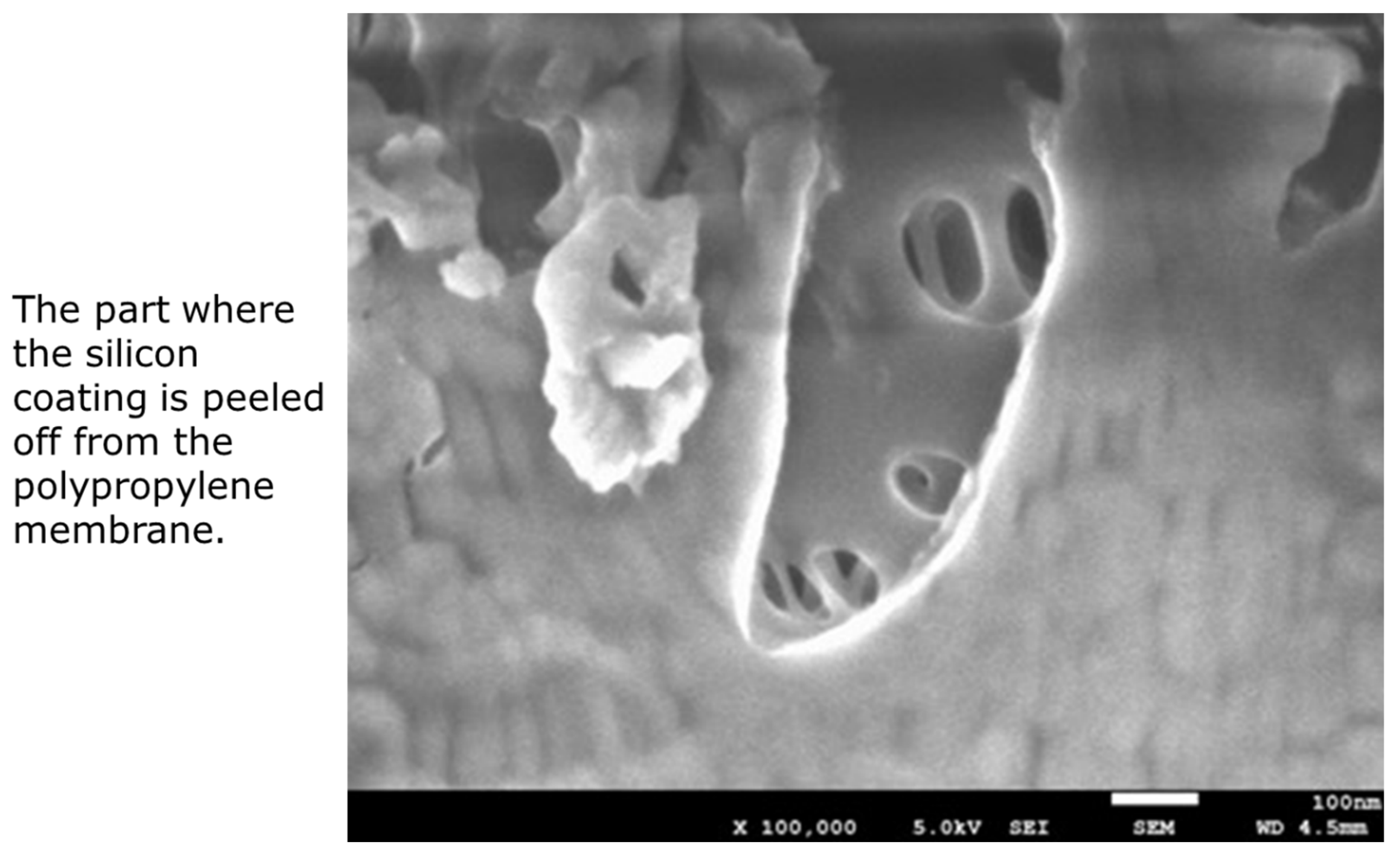 Membranes 11 00529 g005