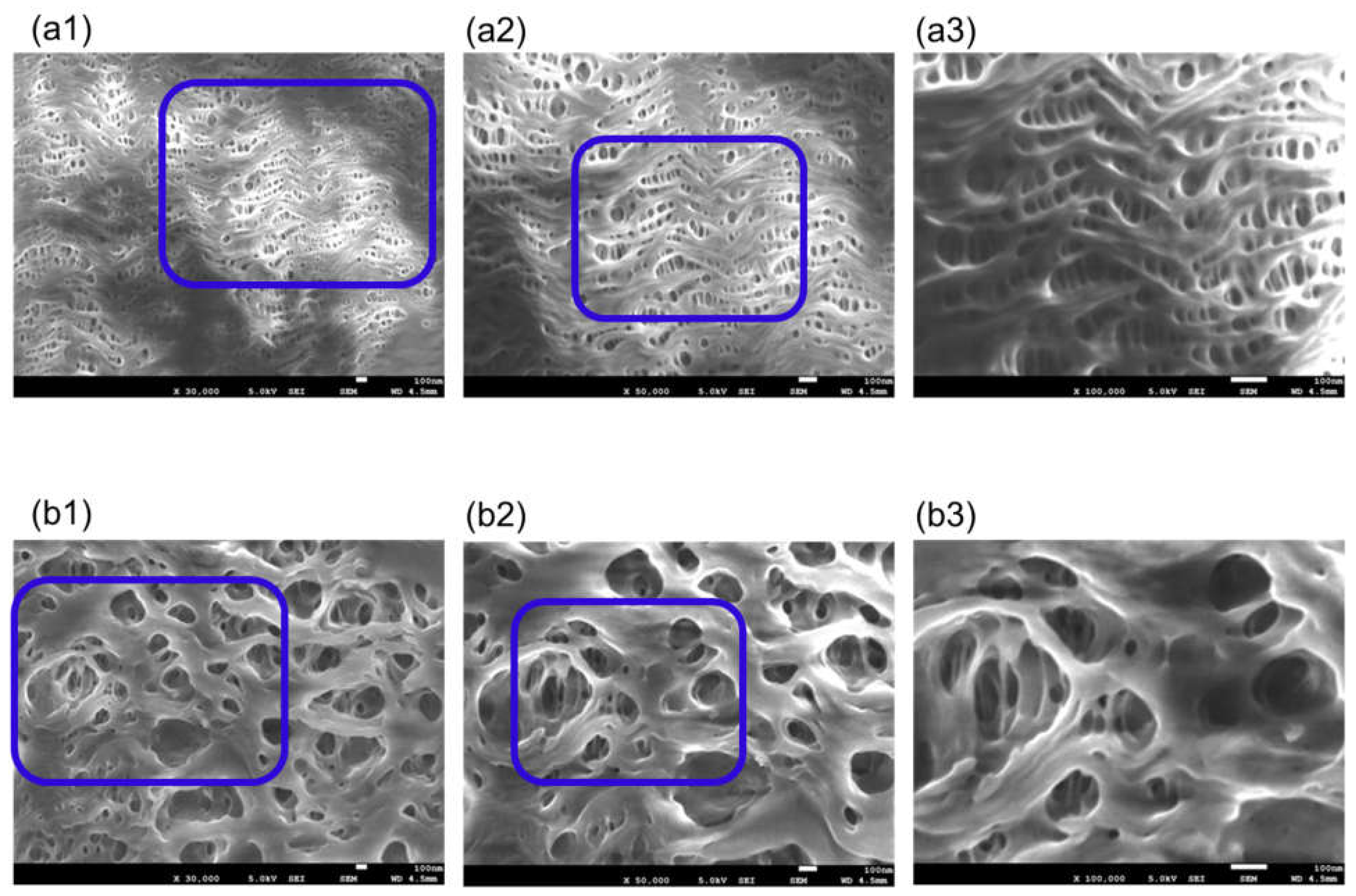 Membranes 11 00529 g006