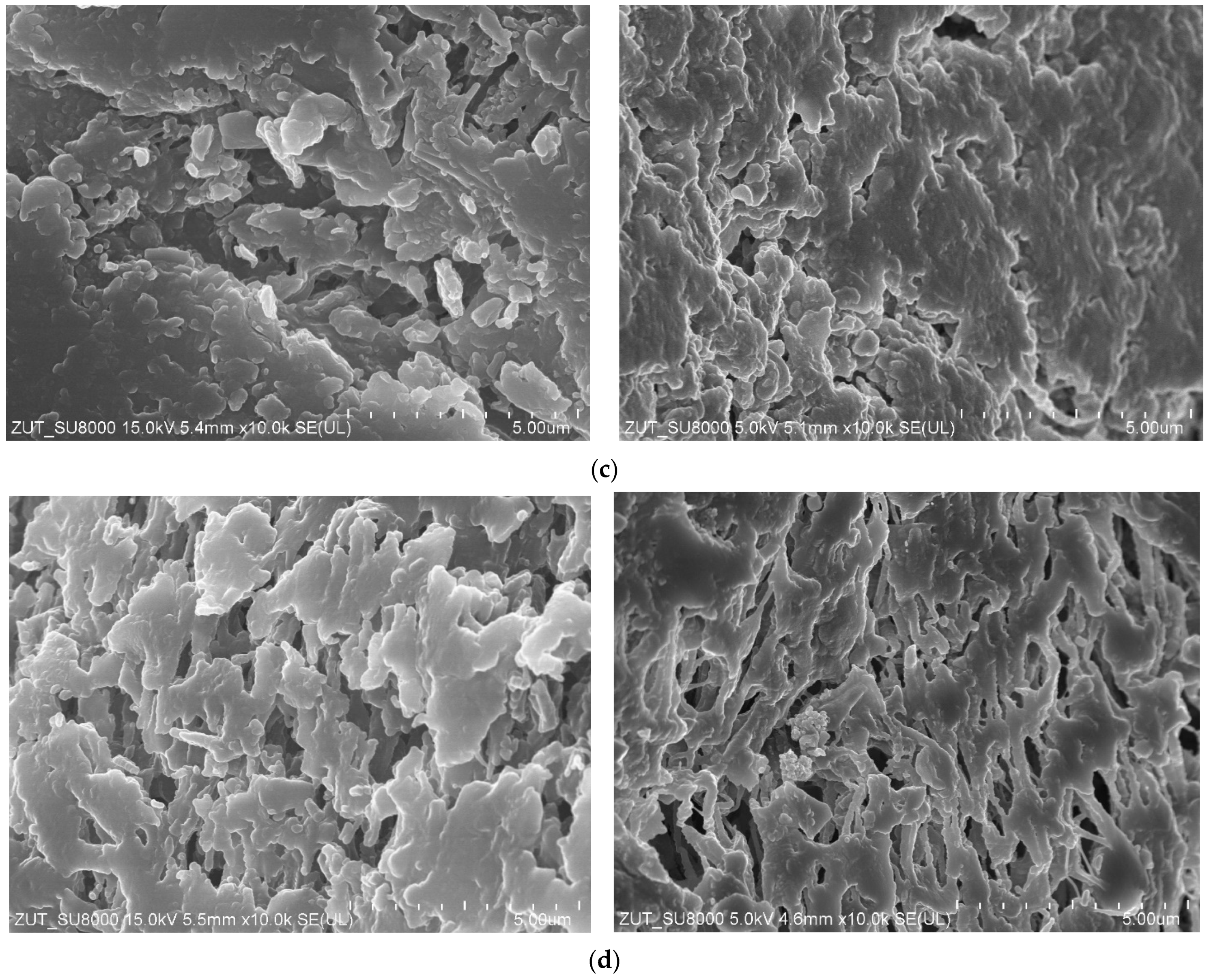 Membranes 11 00531 g015b