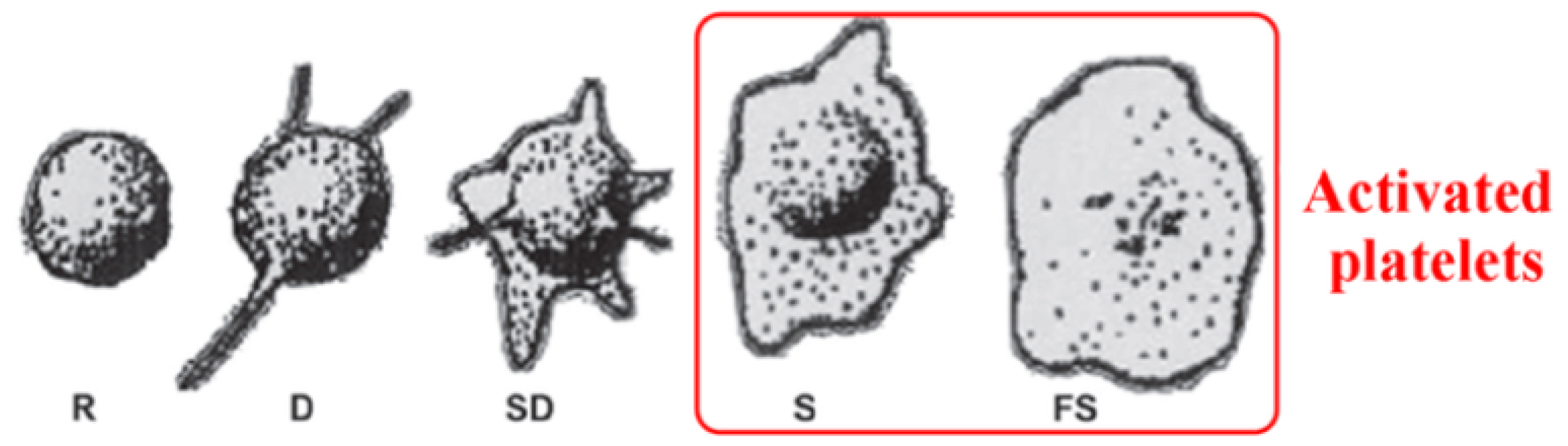 Membranes 11 00533 g005 Membranes 11 00533 g005