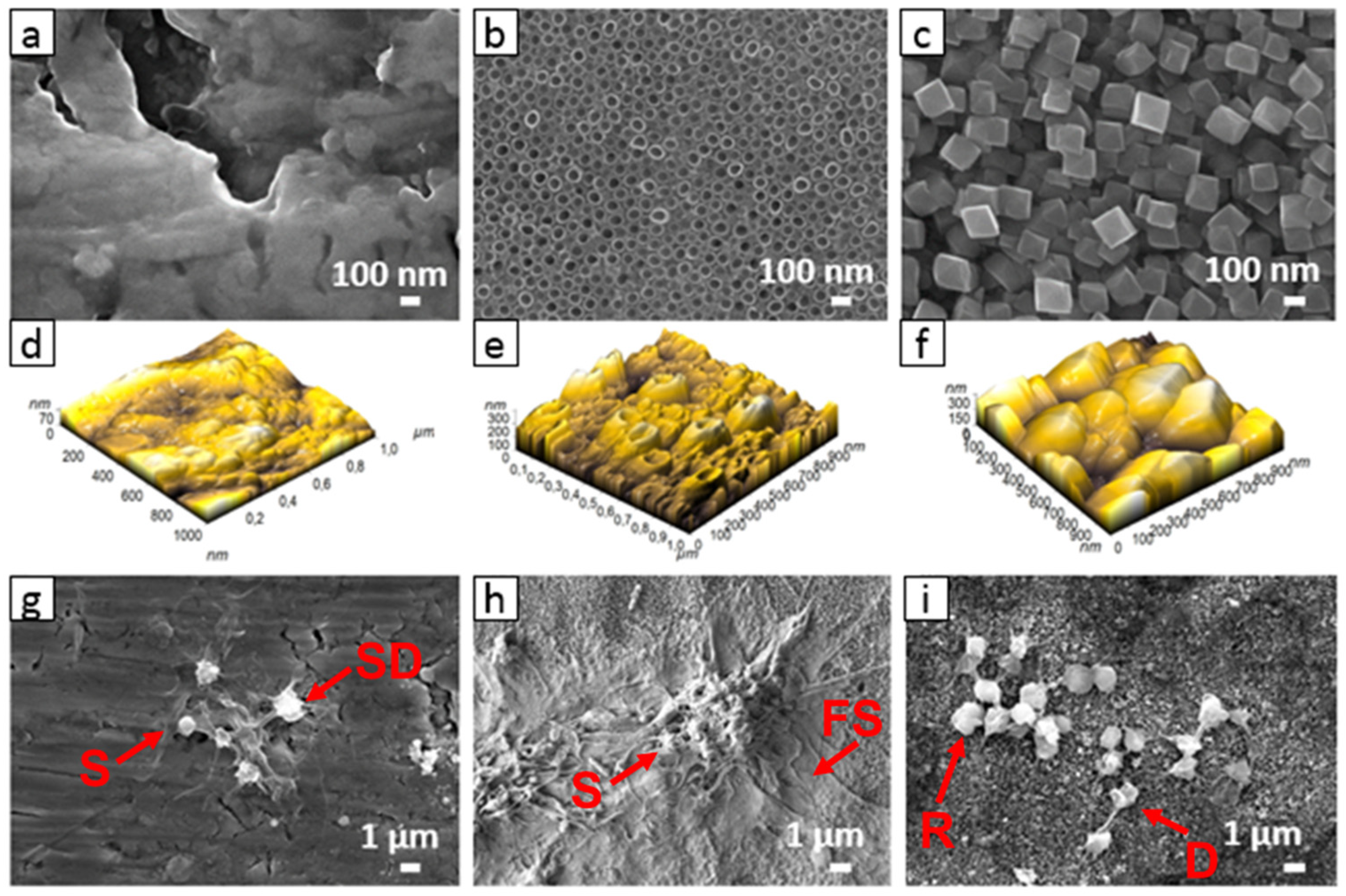 Membranes 11 00533 g006 Membranes 11 00533 g006
