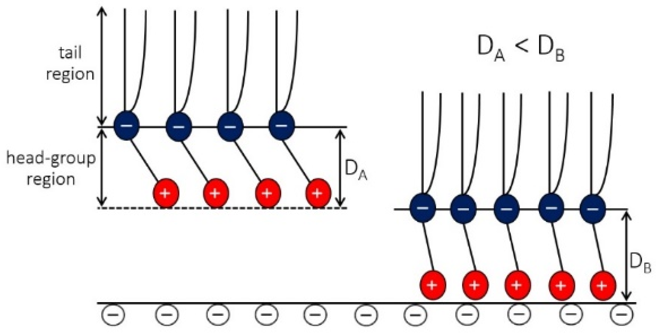 Membranes 11 00533 g011 Membranes 11 00533 g011