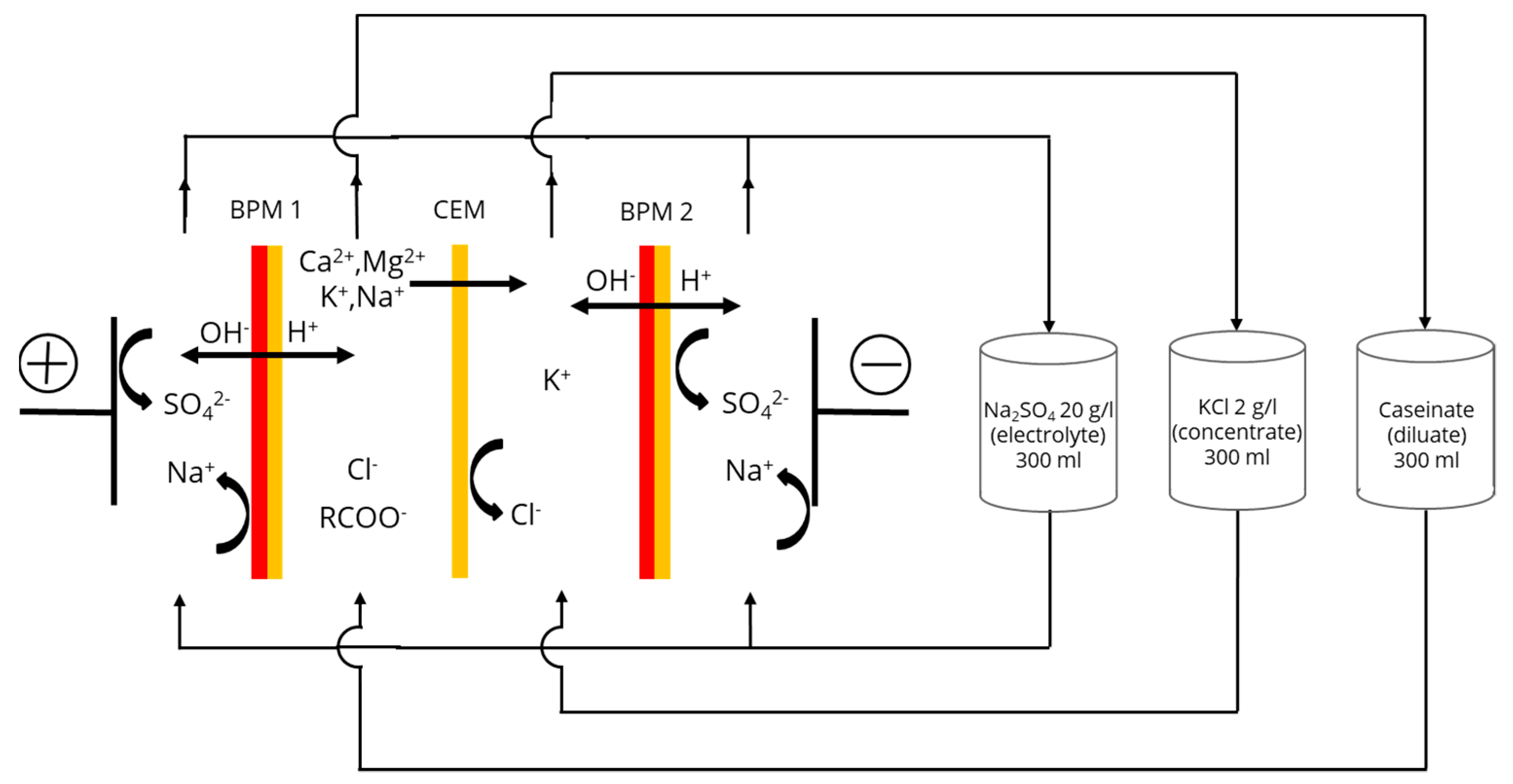 Membranes 11 00534 g001