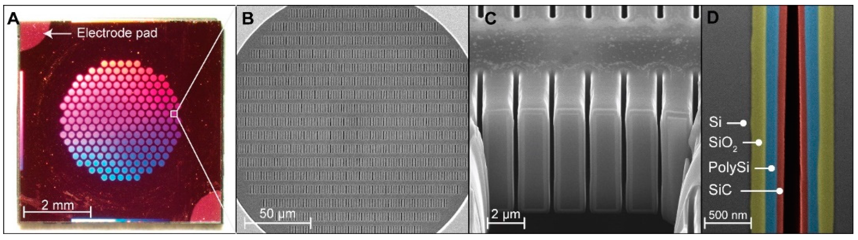 Membranes 11 00535 g001