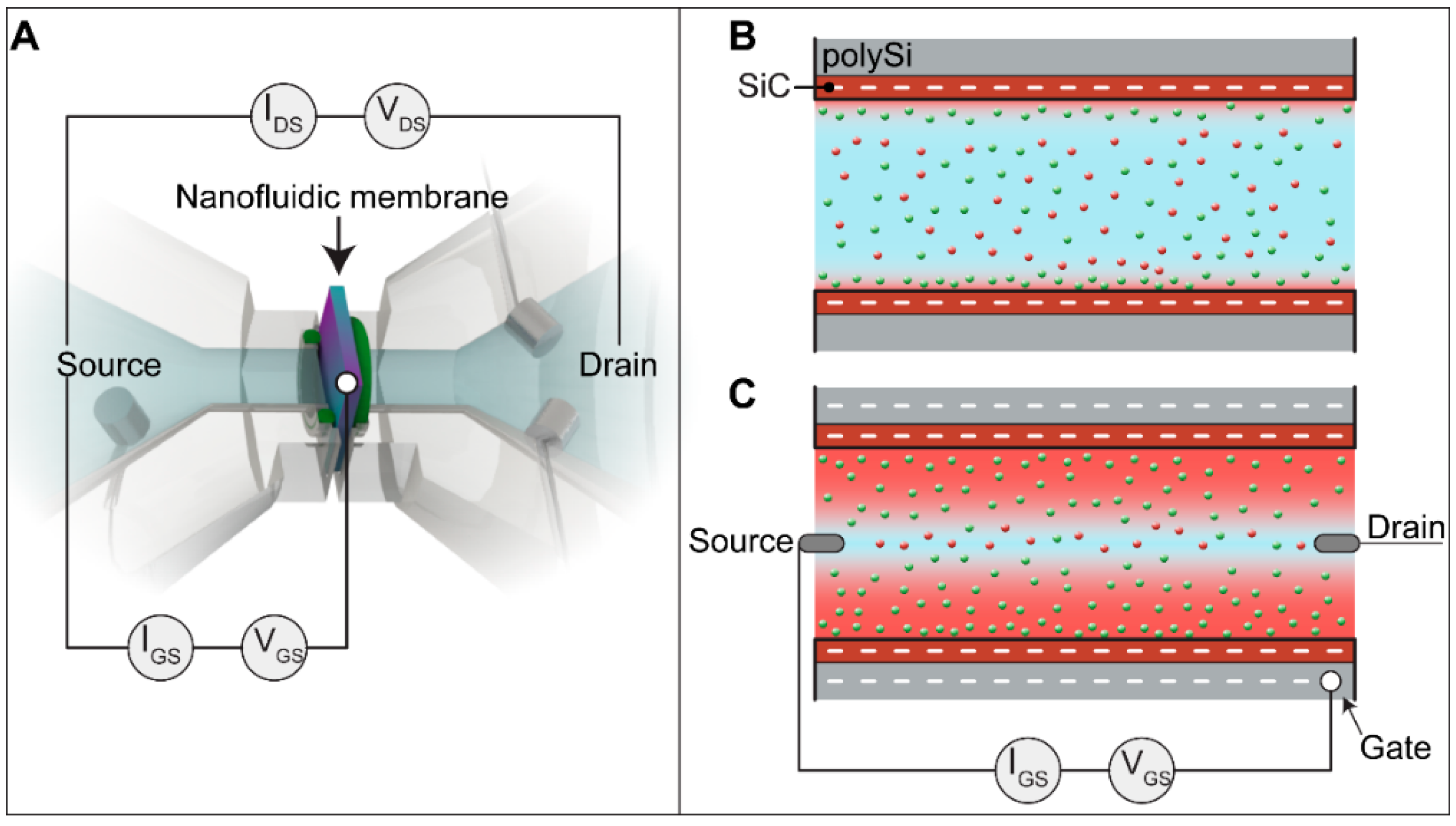 Membranes 11 00535 g003