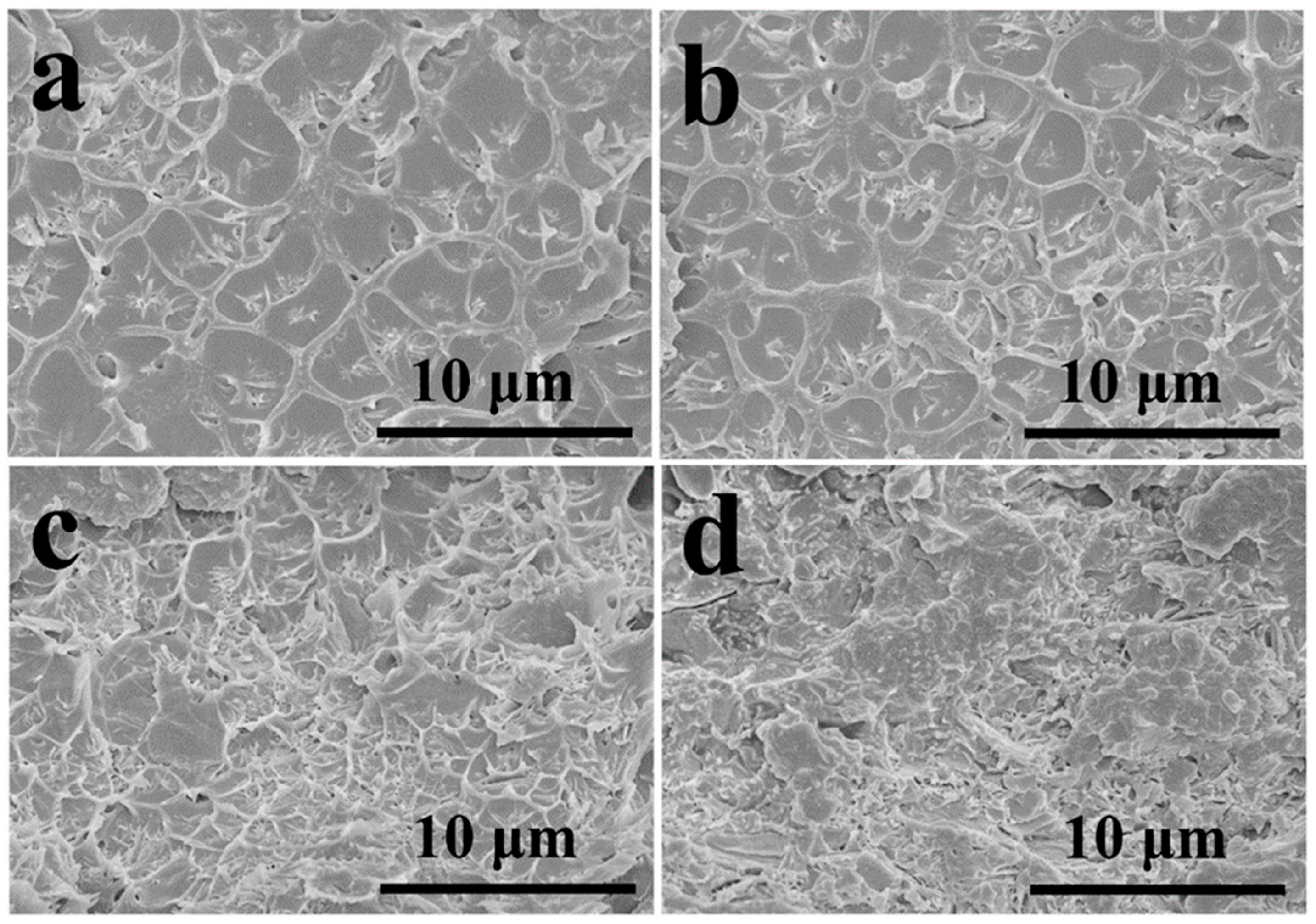 Membranes 11 00536 g003