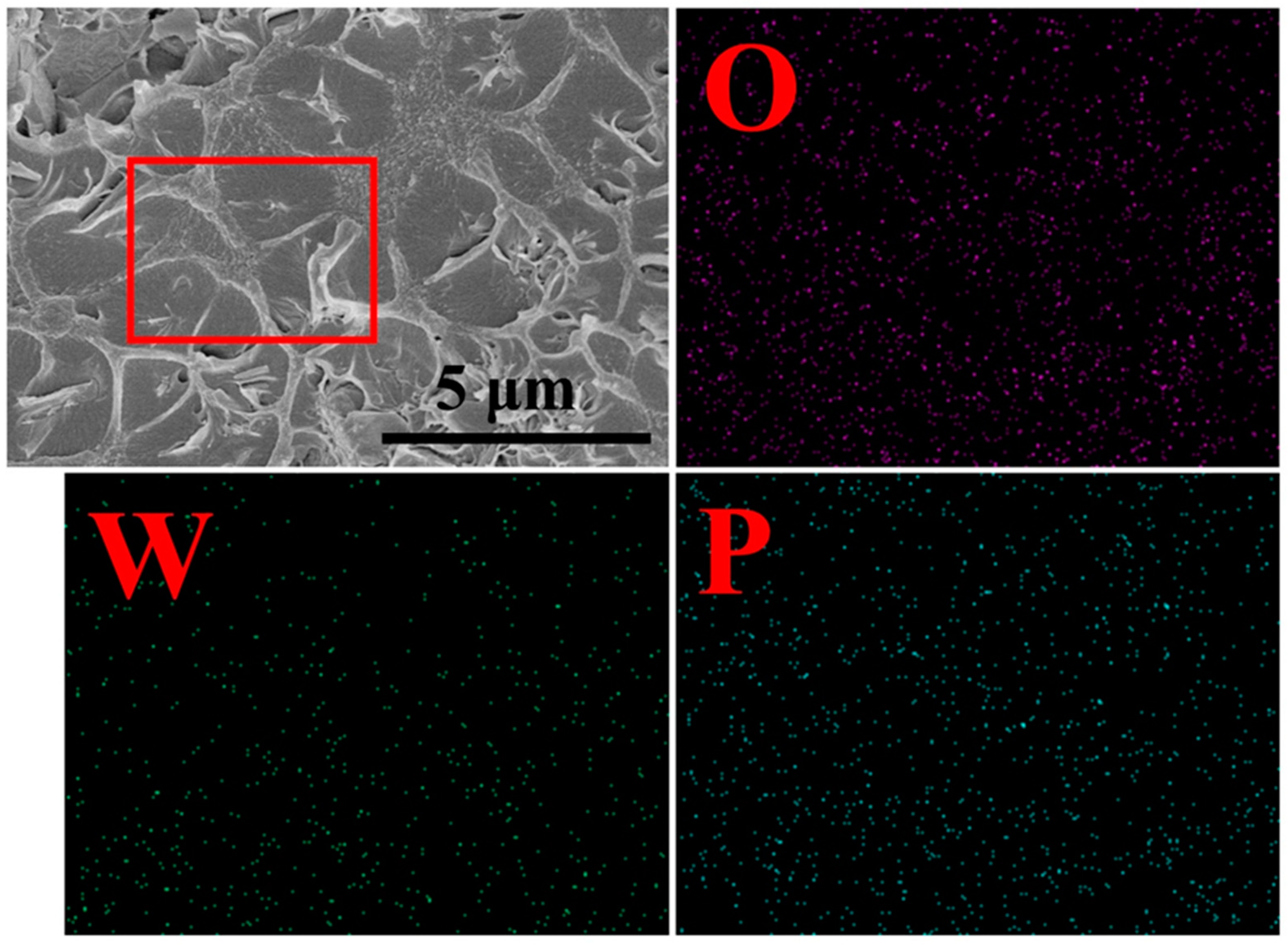 Membranes 11 00536 g004