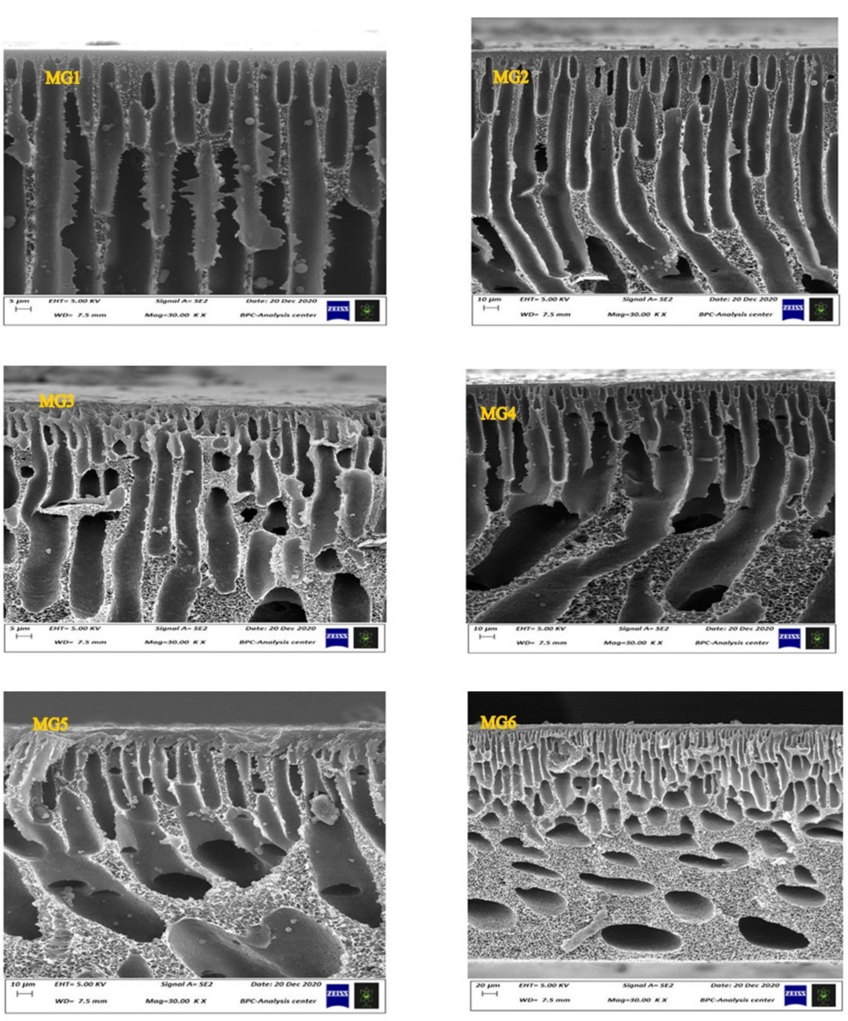 Membranes 11 00542 g002