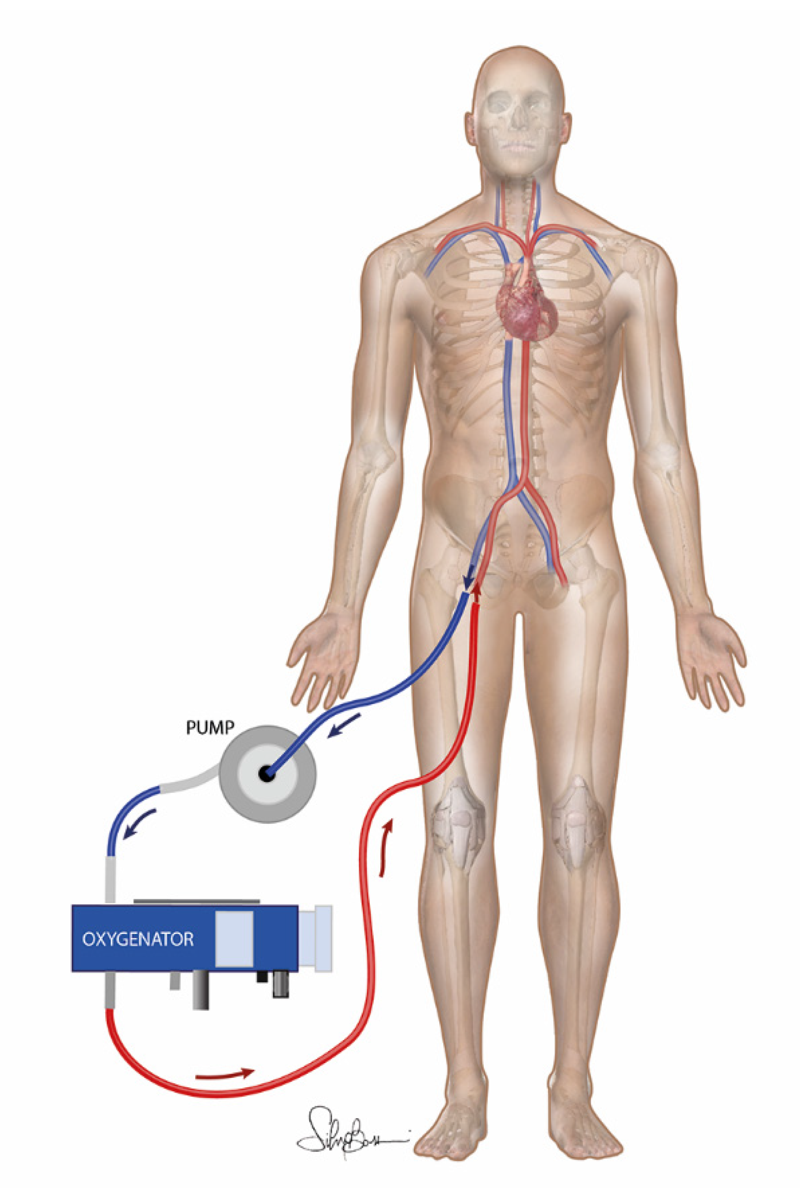 Membranes 11 00545 g001 Membranes 11 00545 g001