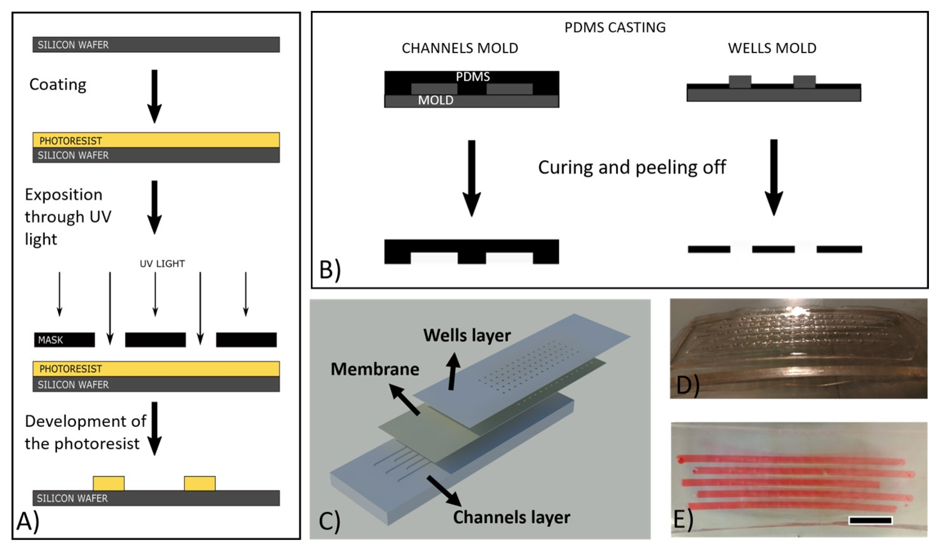 Membranes 11 00549 g001 550