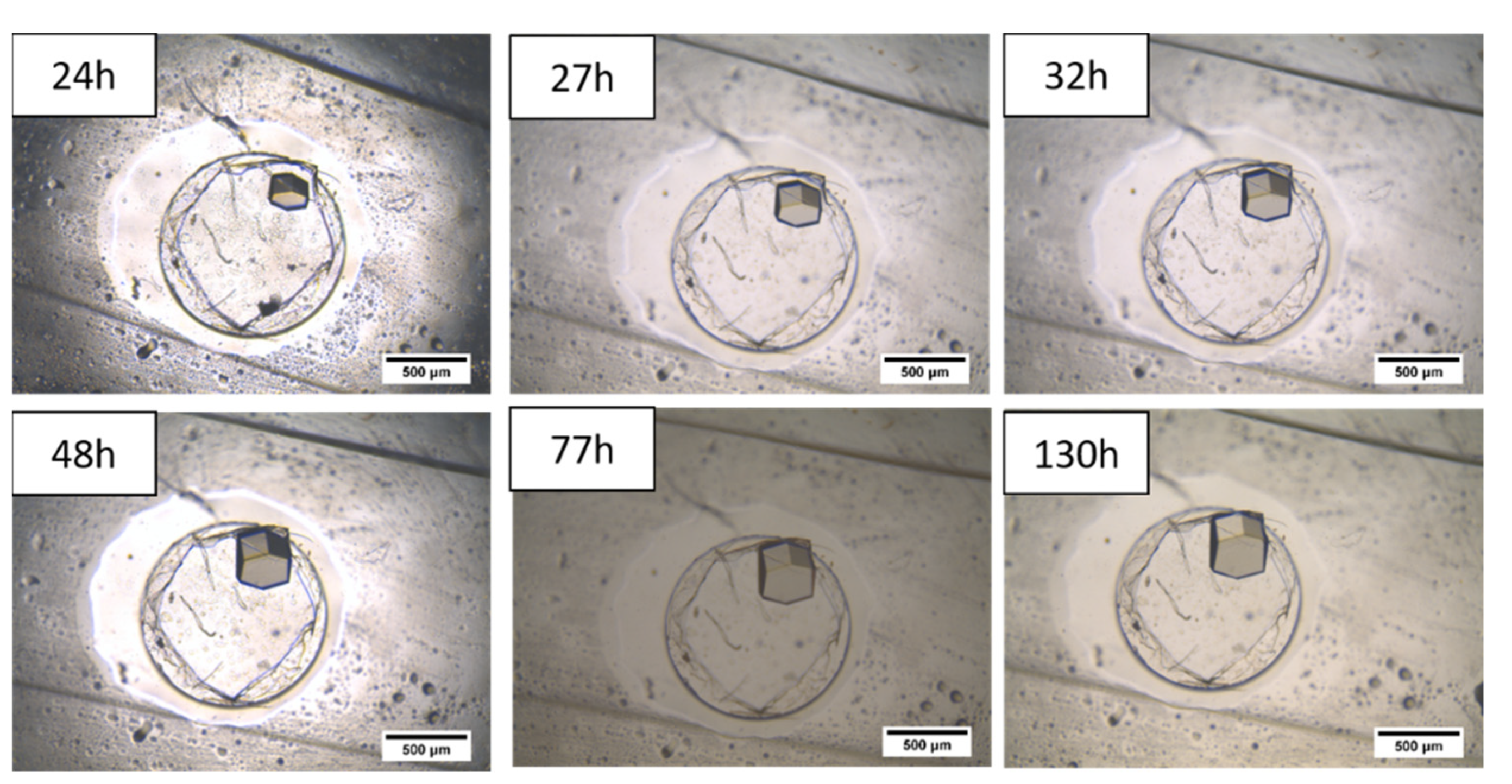 Membranes 11 00549 g010 550