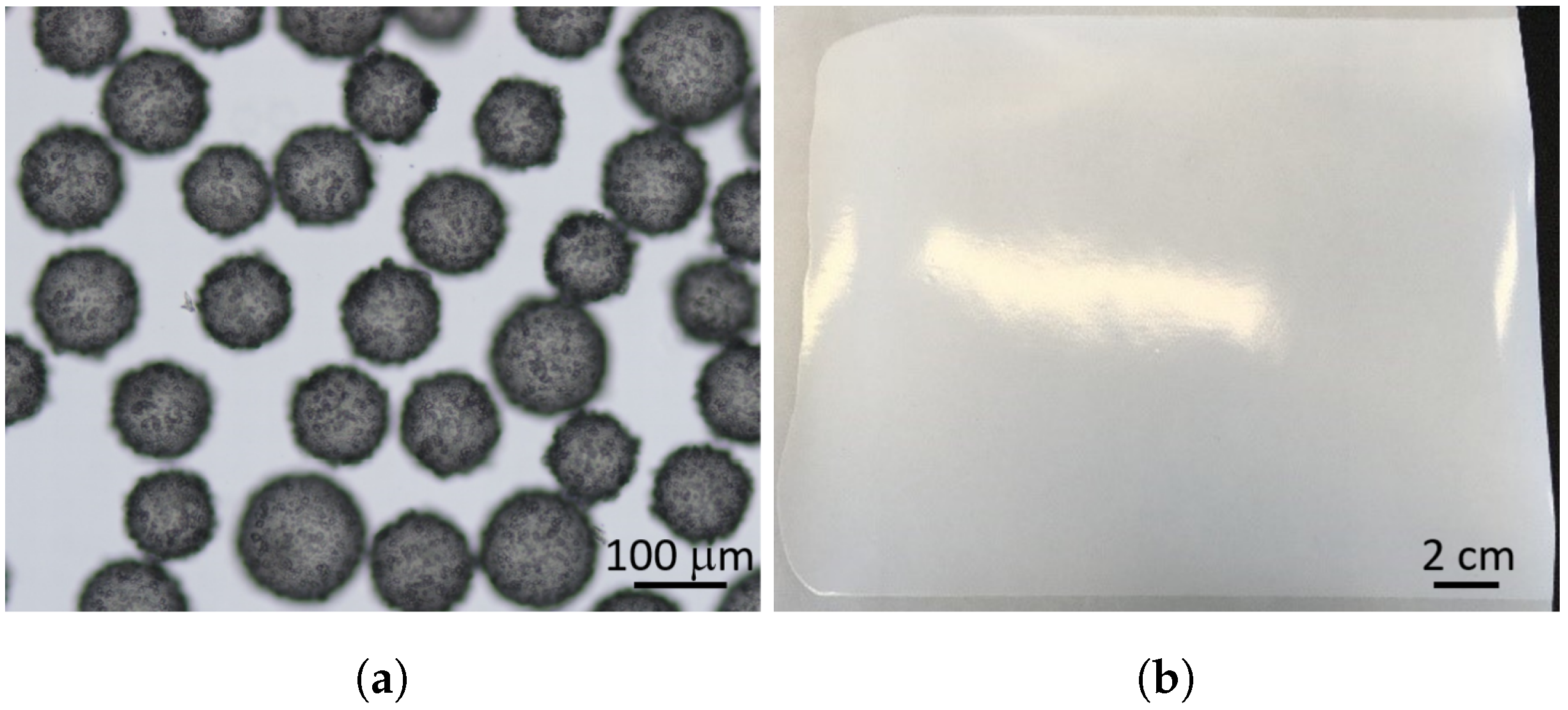 Membranes 11 00555 g003 550