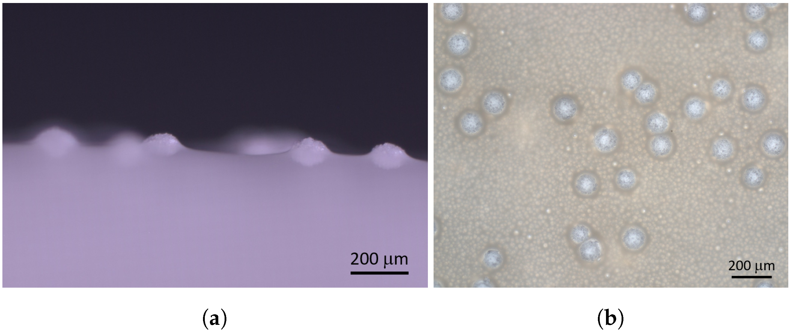 Membranes 11 00555 g005 550