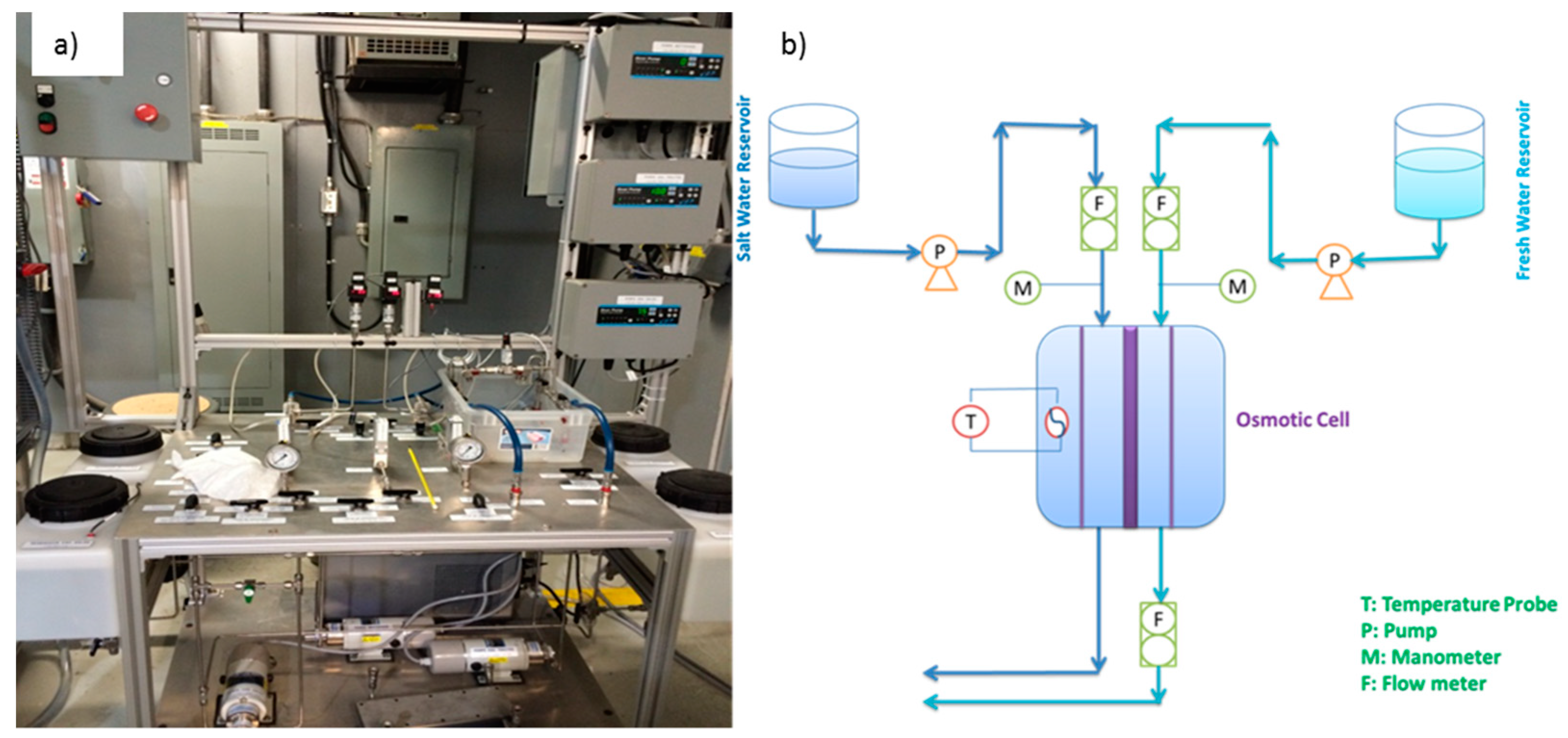 Membranes 11 00556 g003