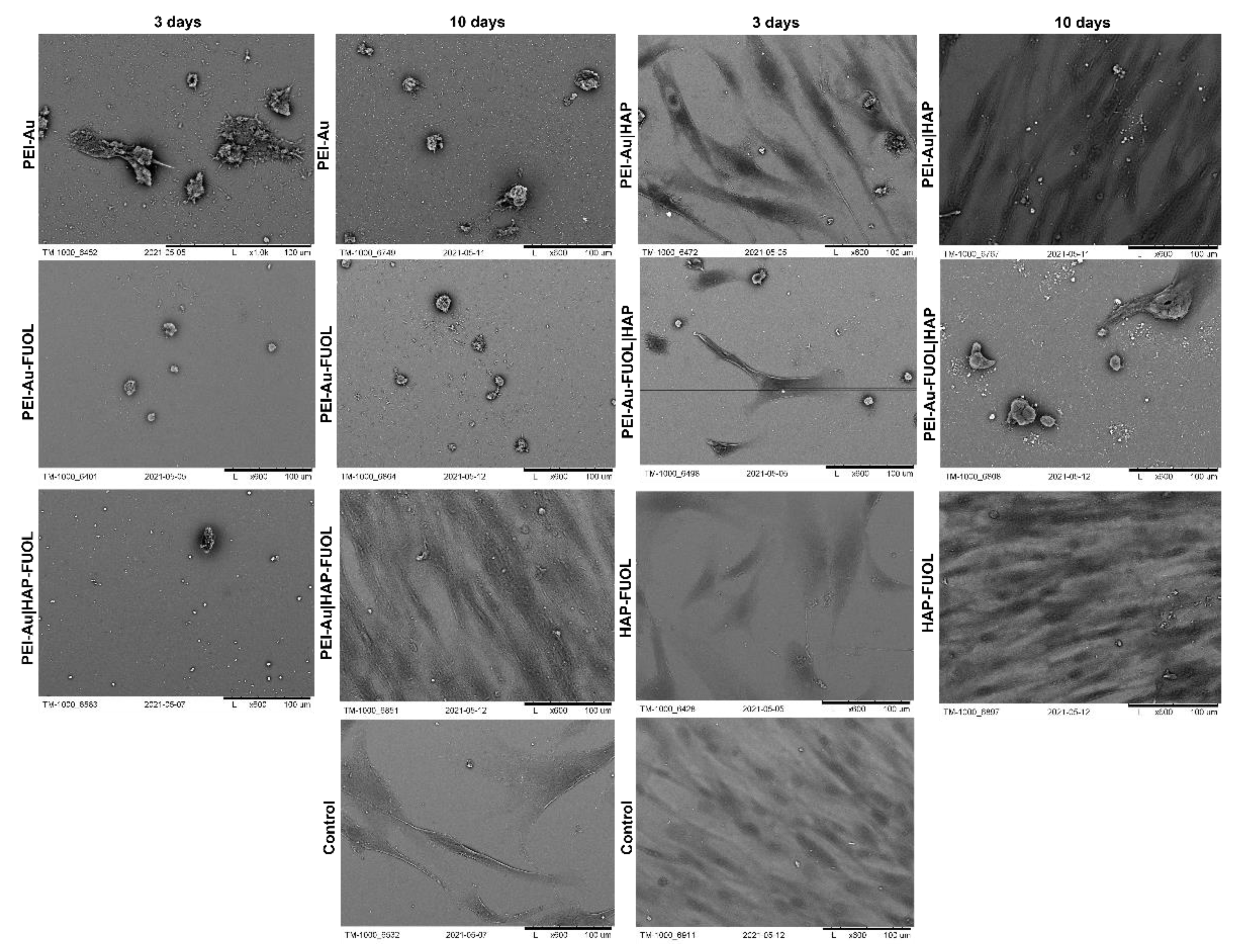 Membranes 11 00565 g007