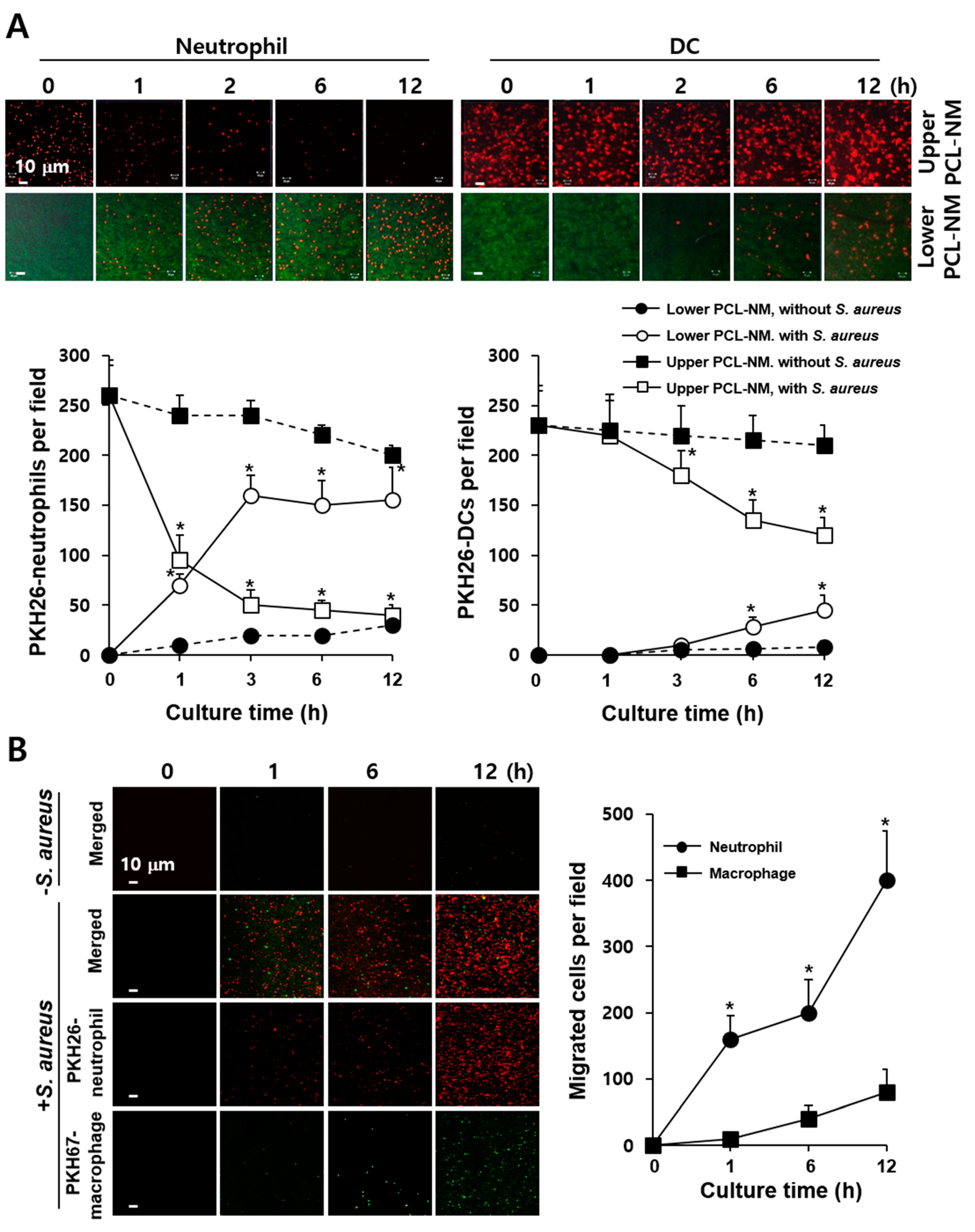 Membranes 11 00569 g004 550