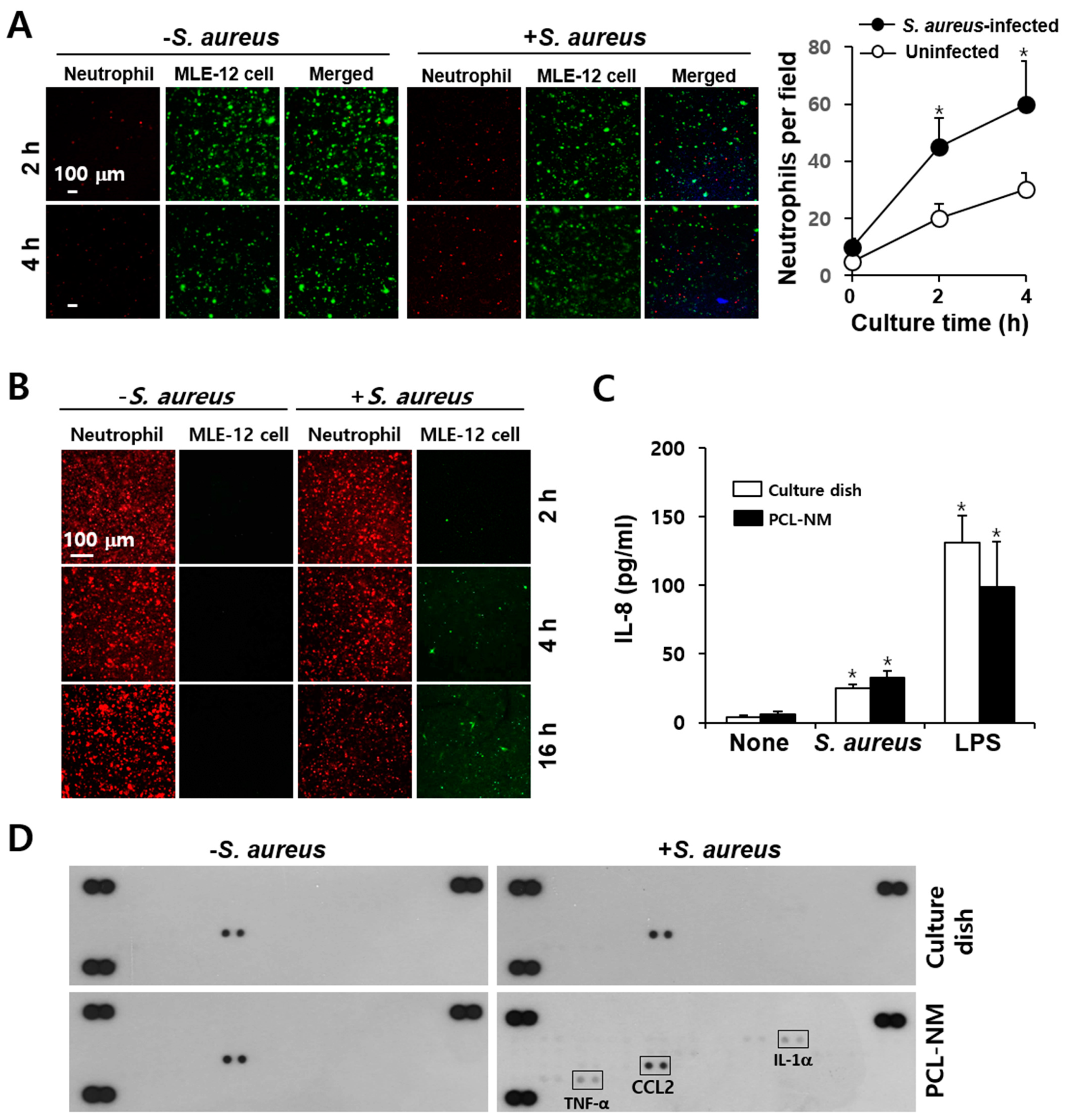 Membranes 11 00569 g007 550