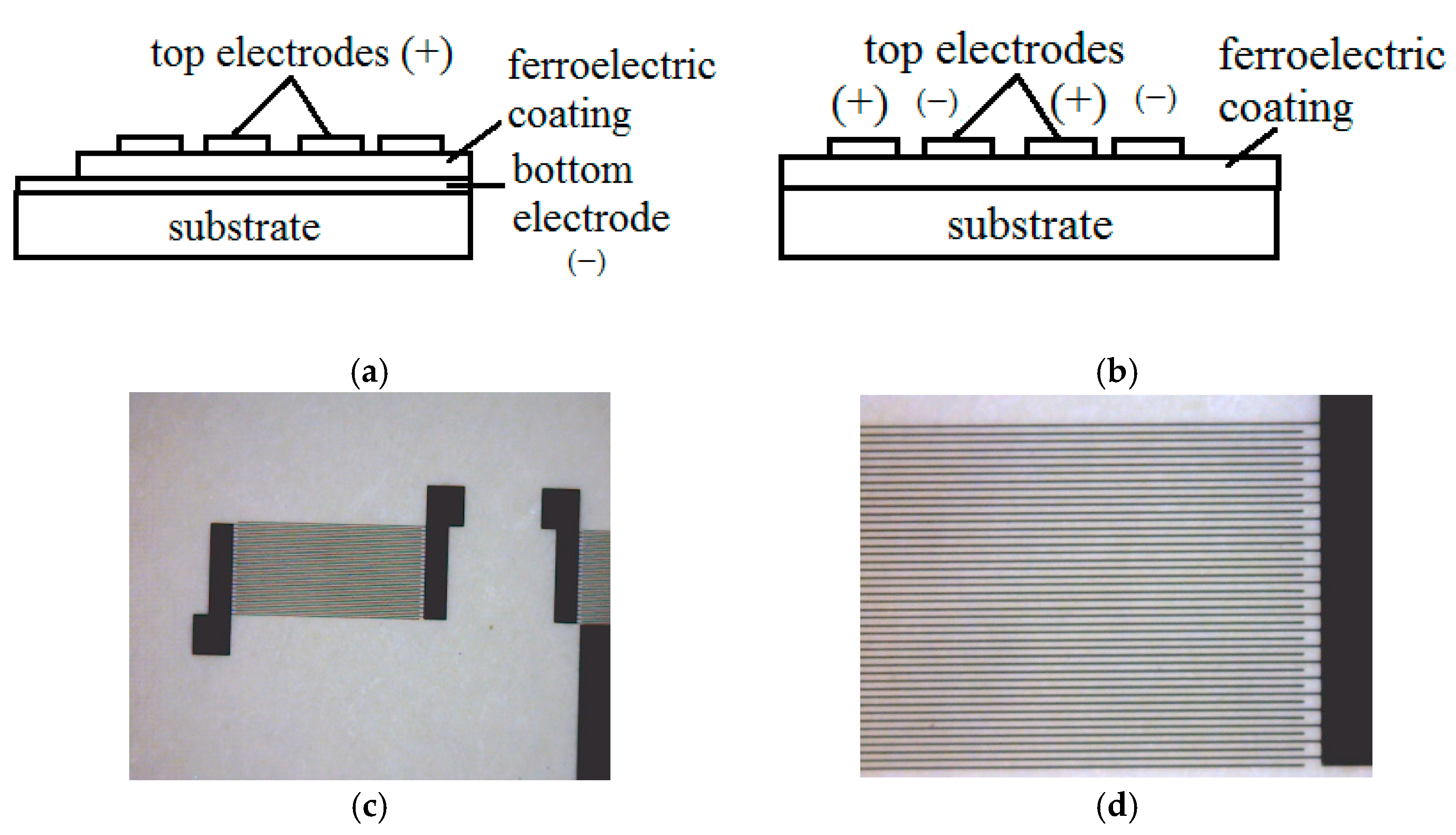 Membranes 11 00577 g001 550