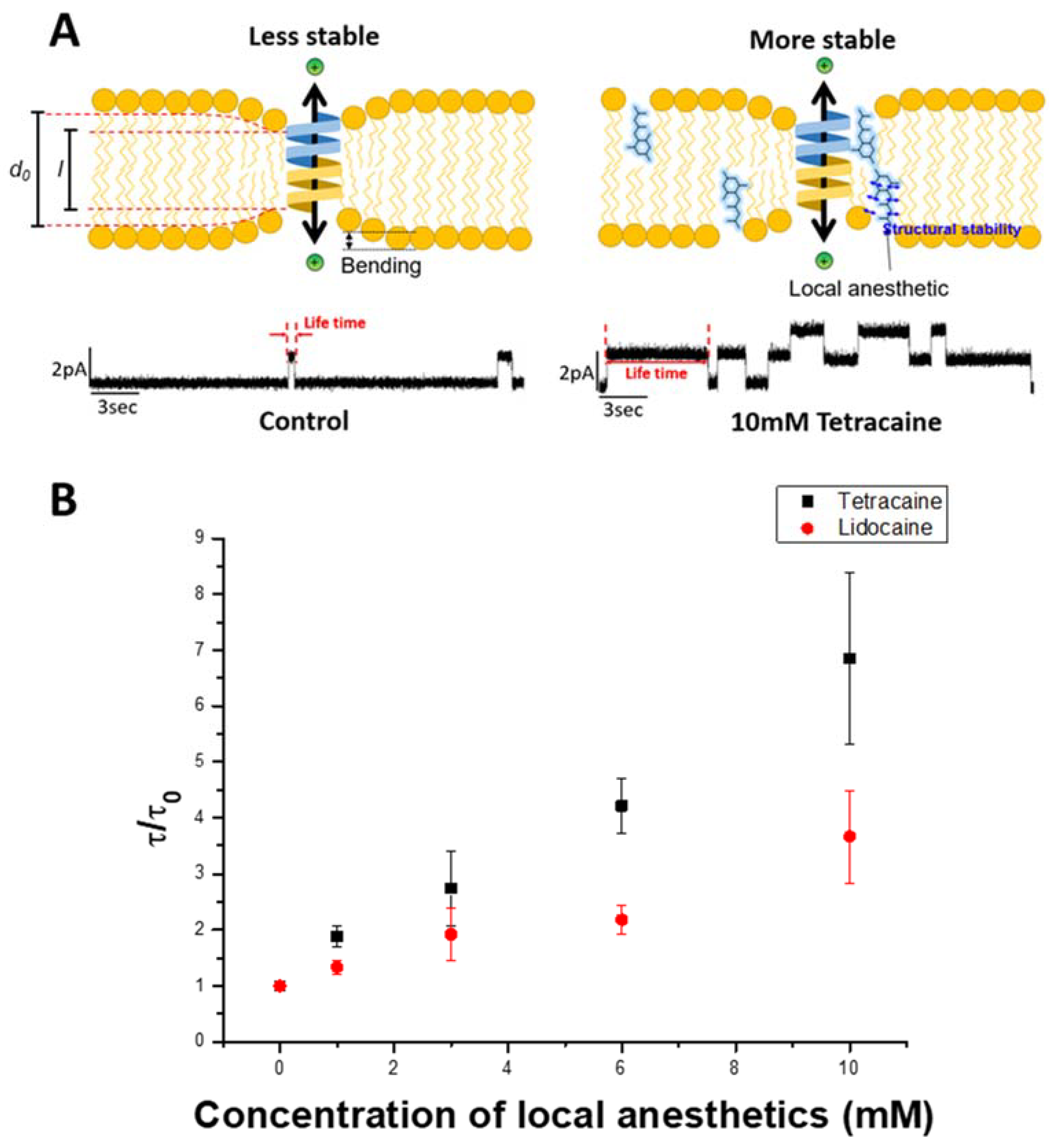 Membranes 11 00579 g006