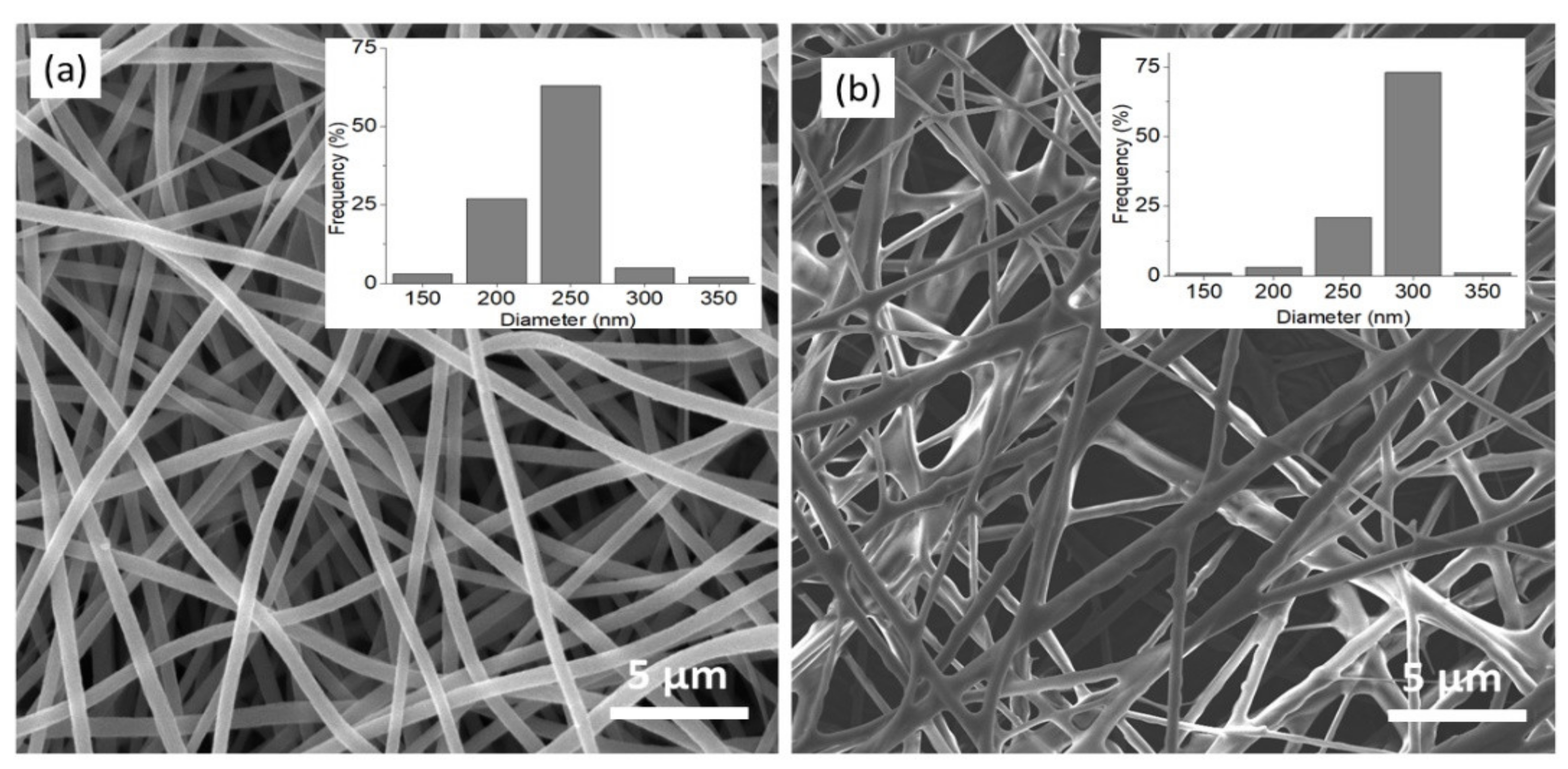 Membranes 11 00581 g002 Membranes 11 00581 g002