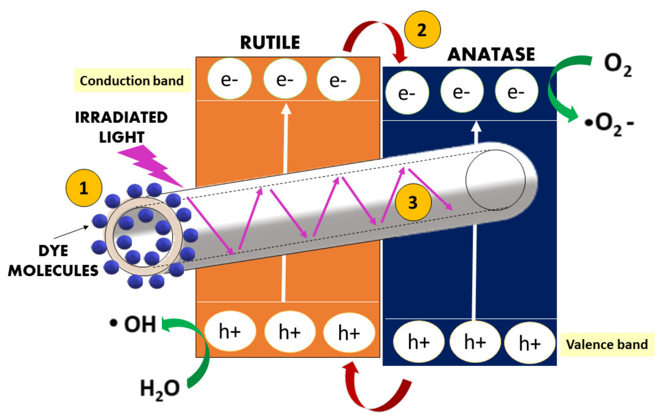 Membranes 11 00581 g010 Membranes 11 00581 g010