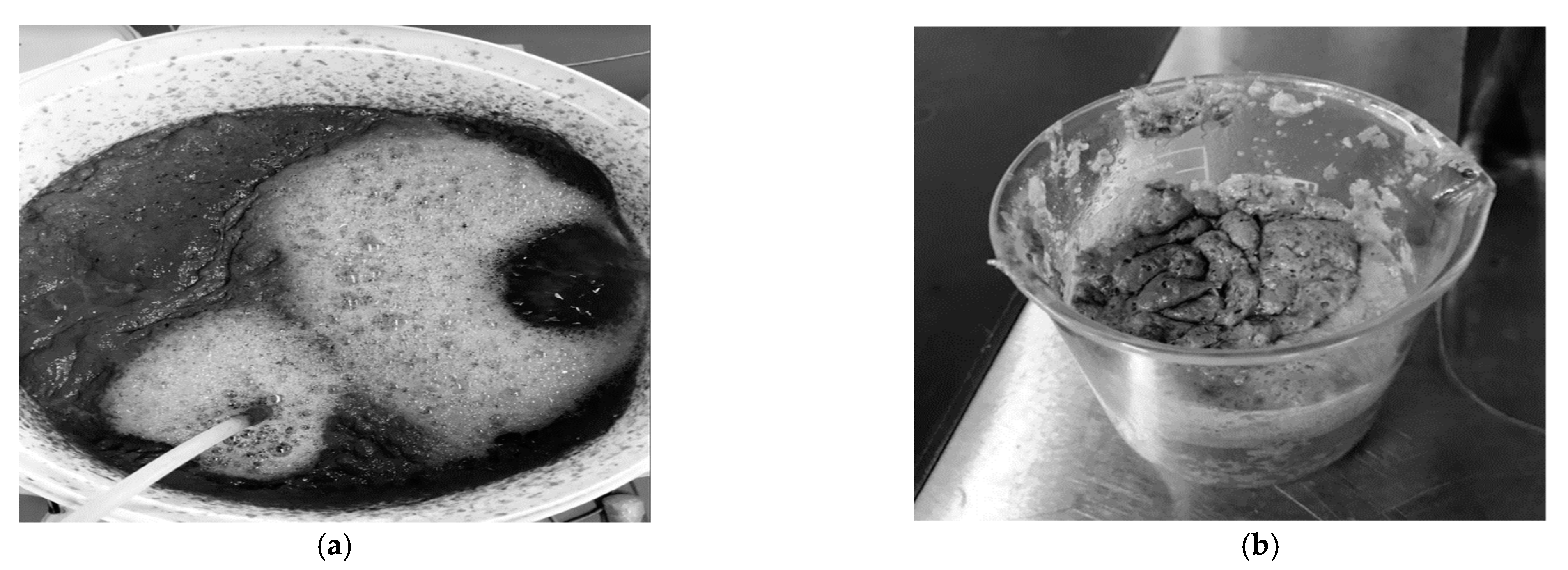 Membranes 11 00582 g006