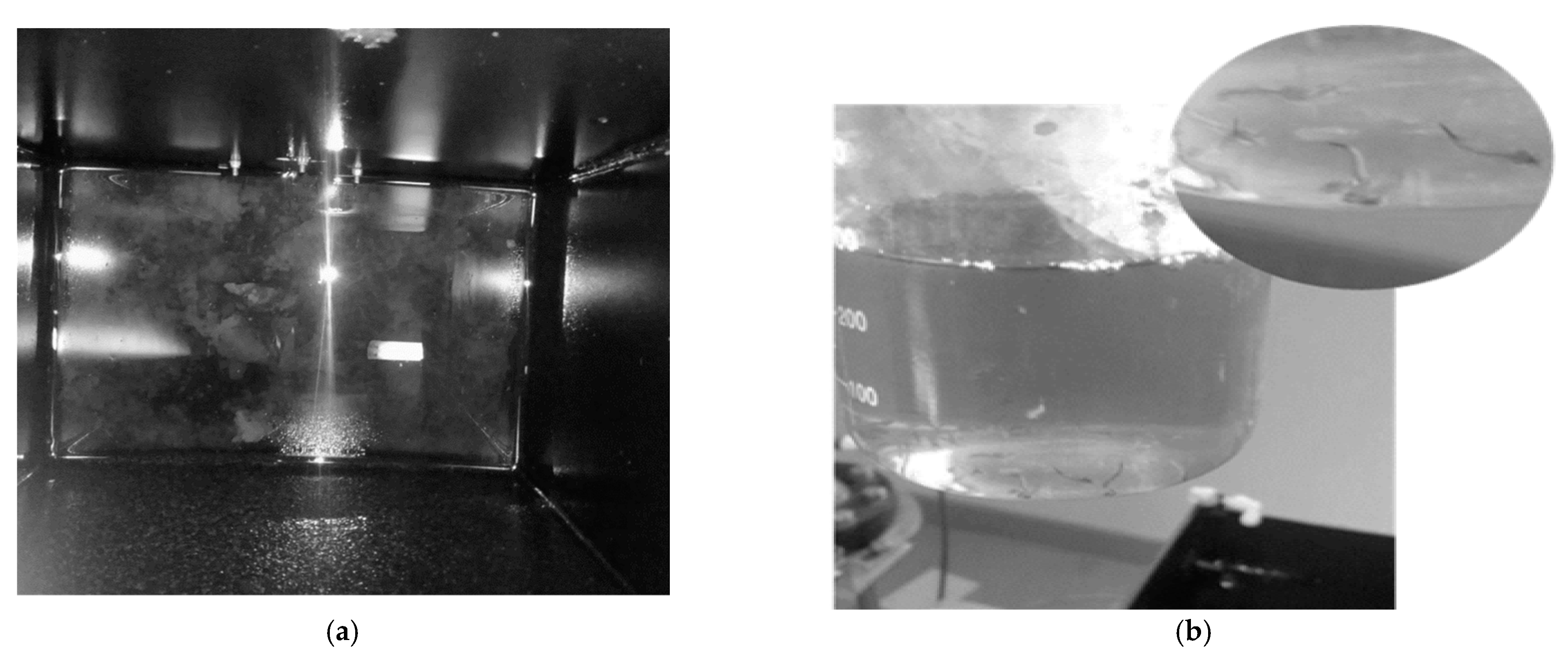 Membranes 11 00582 g026