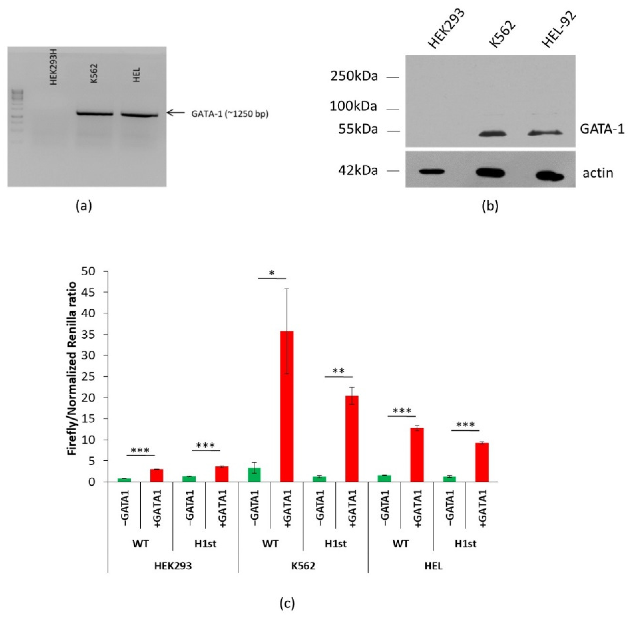 Membranes 11 00586 g003 550