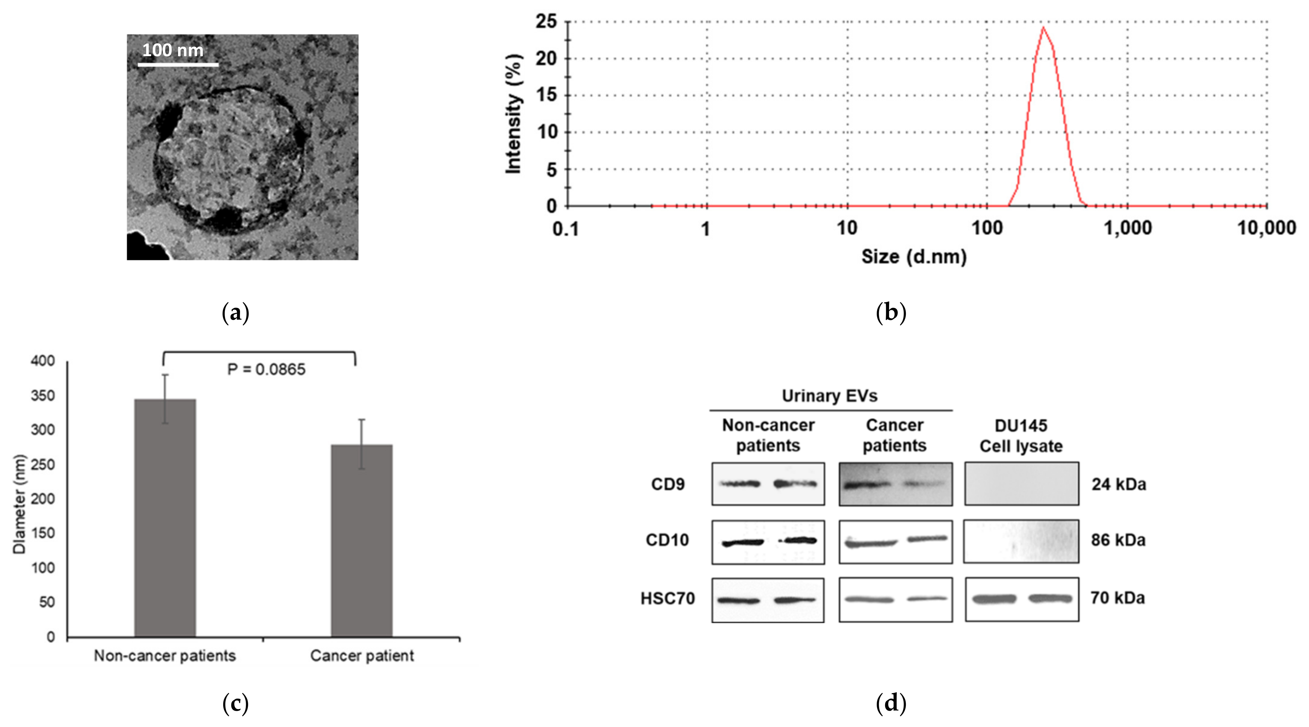 Membranes 11 00591 g001