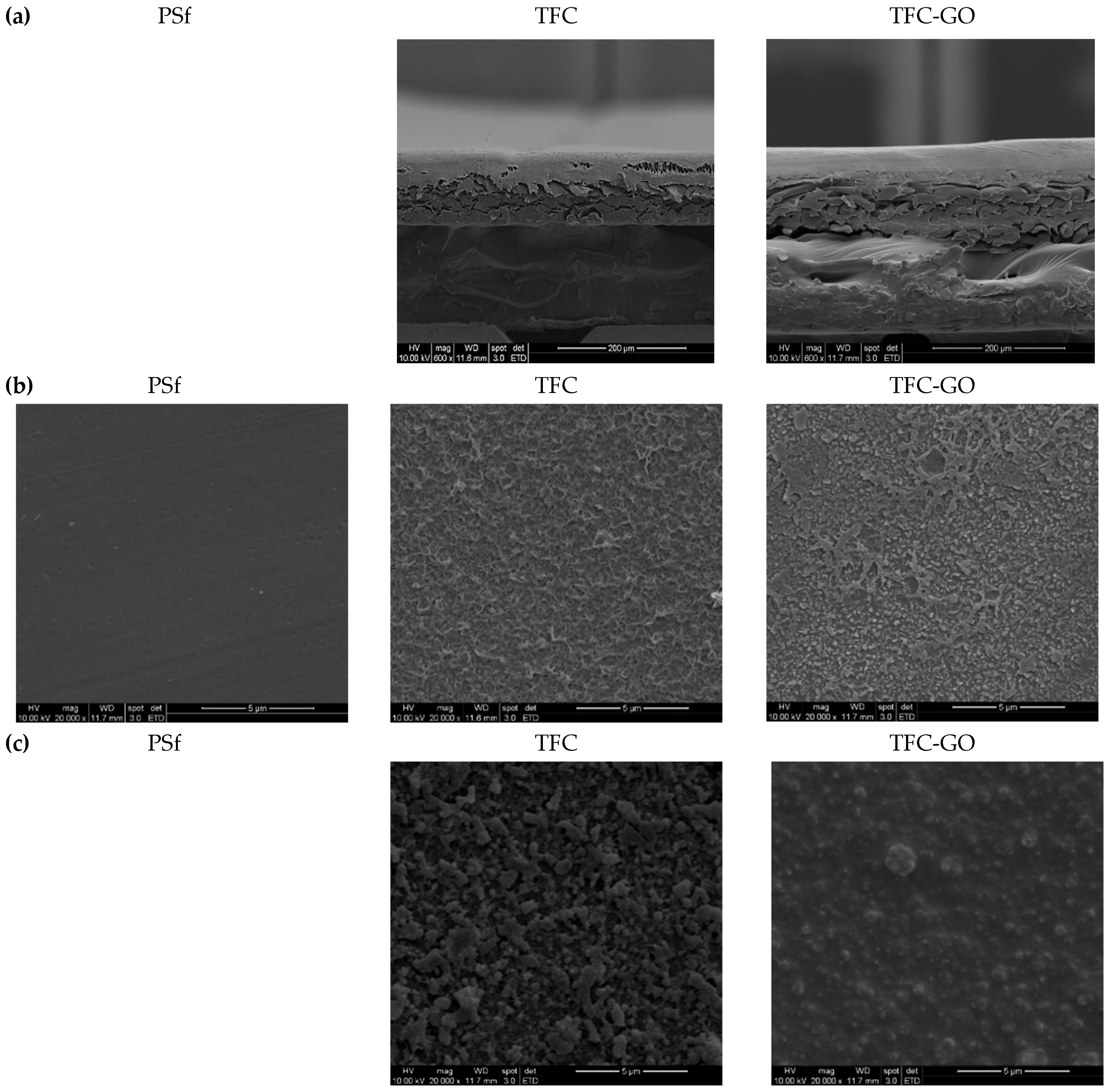 Membranes 11 00592 g002a