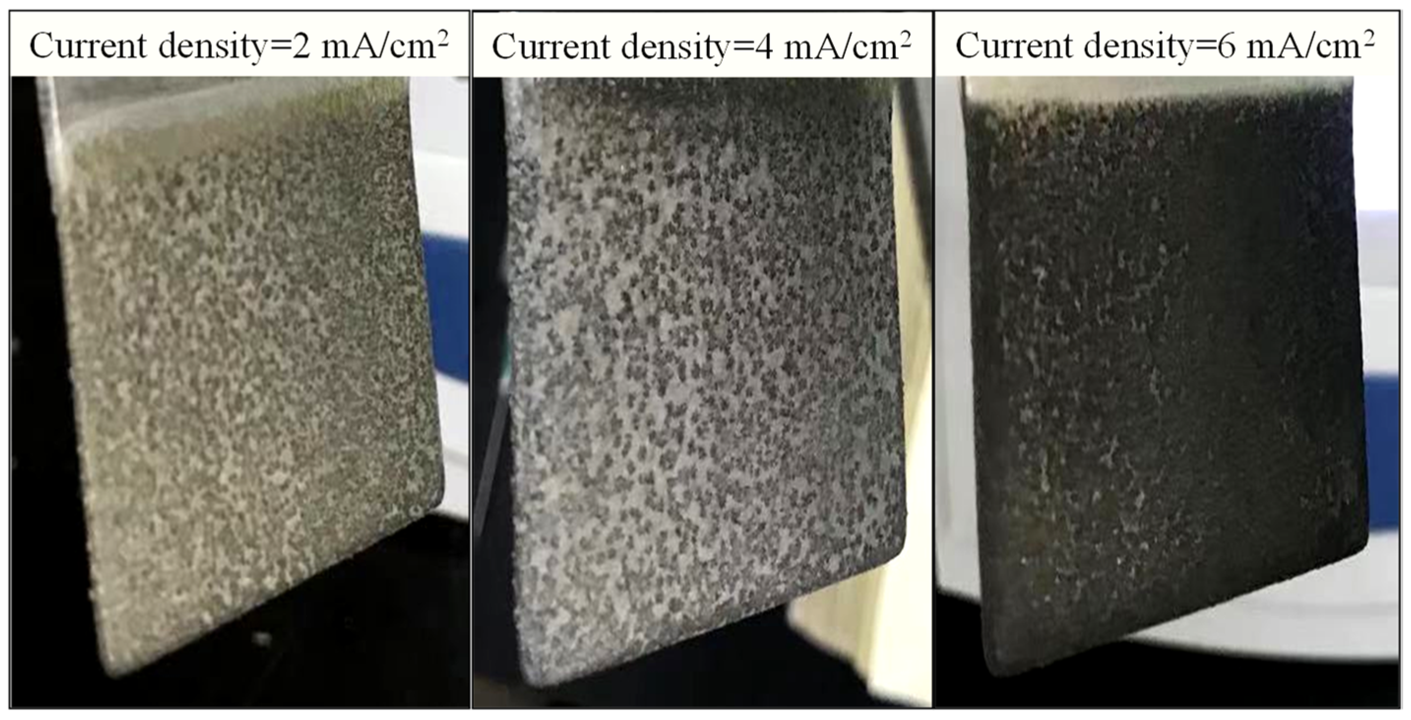 Membranes 11 00594 g004