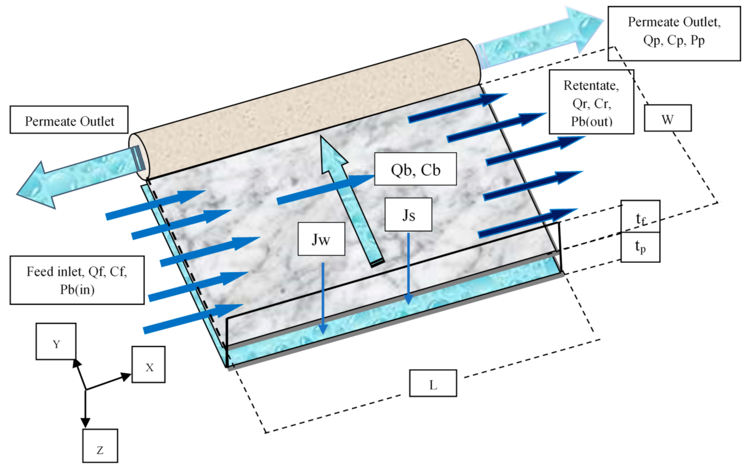 Membranes 11 00595 g002