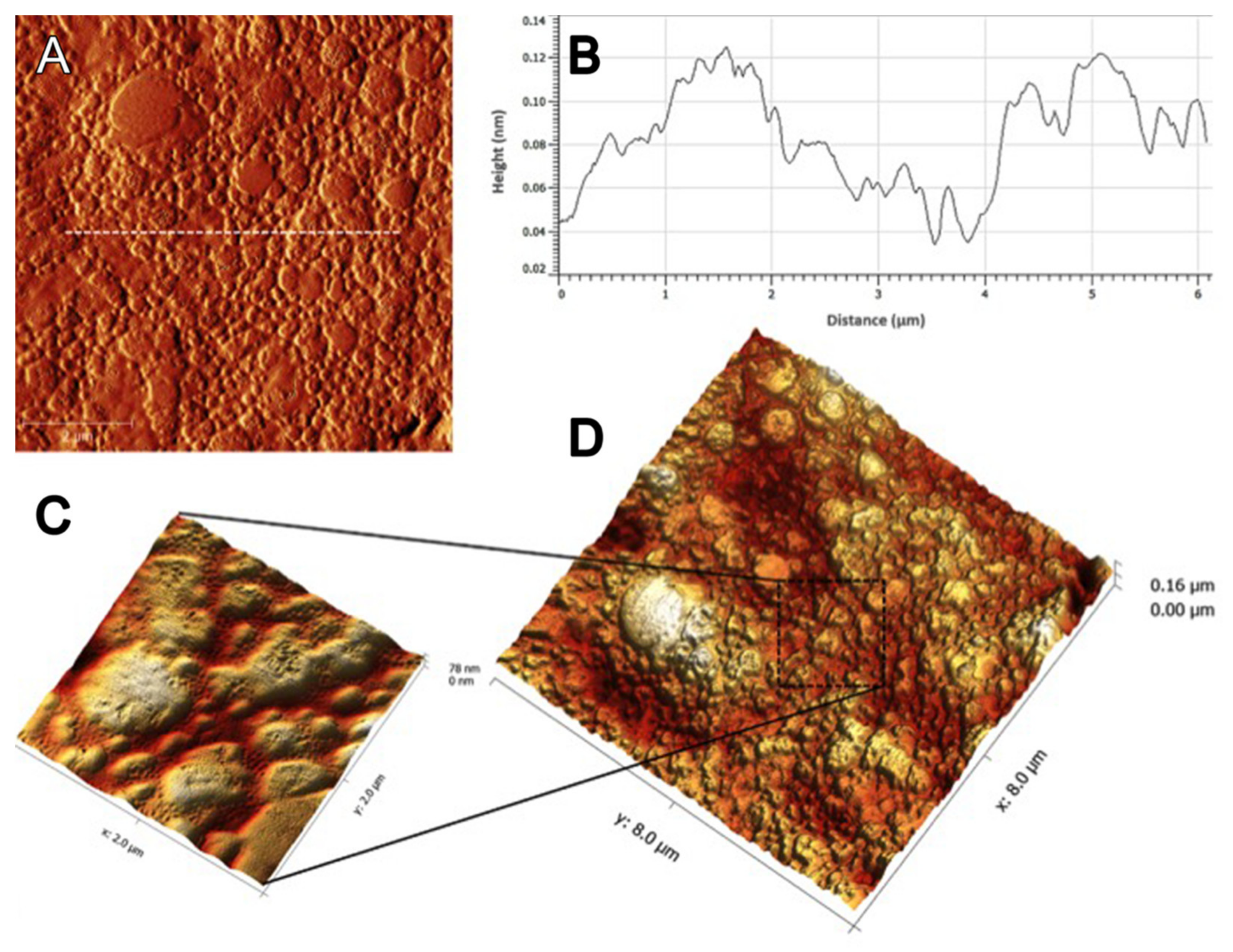 Membranes 11 00598 g006