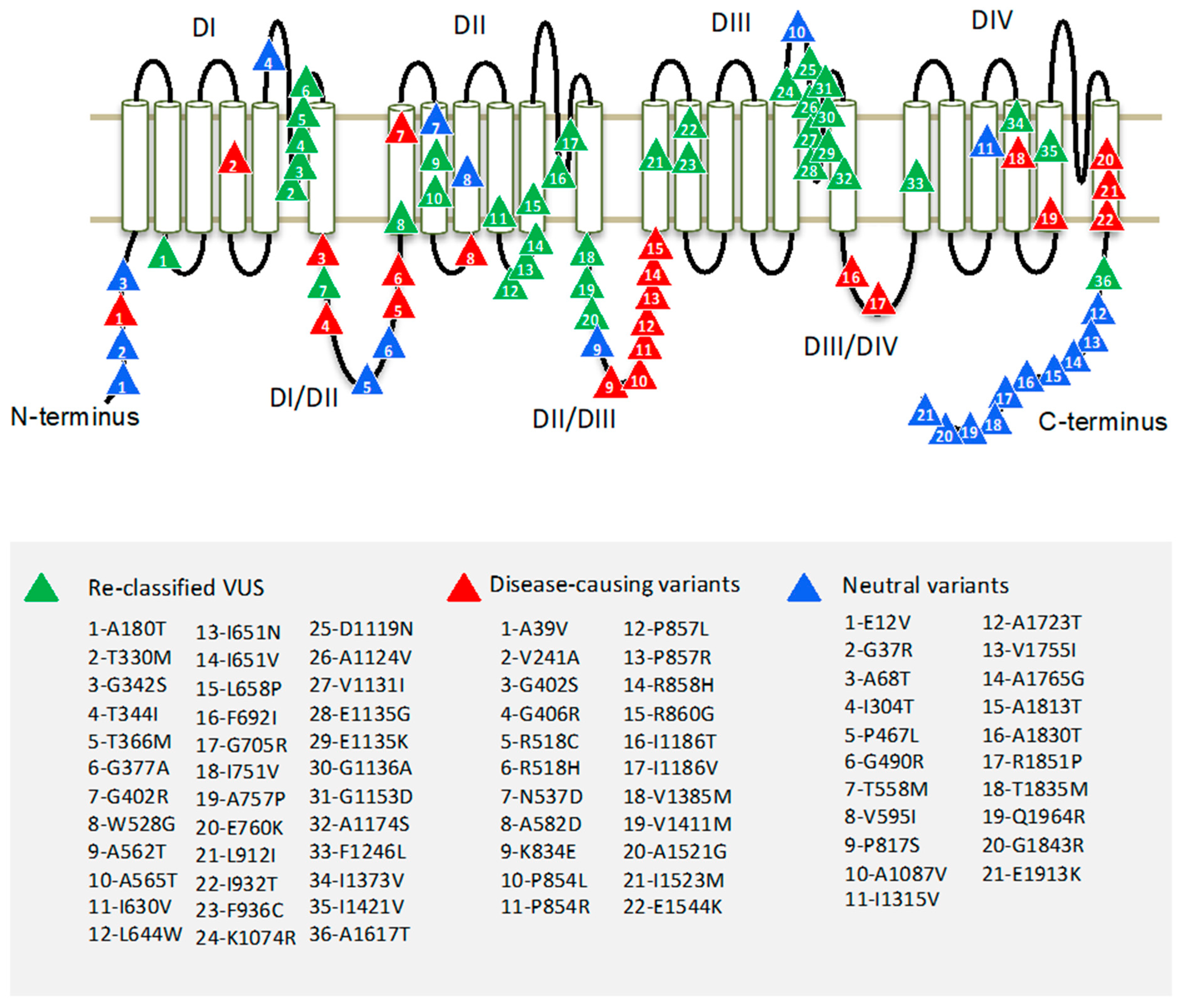 Membranes 11 00599 g001