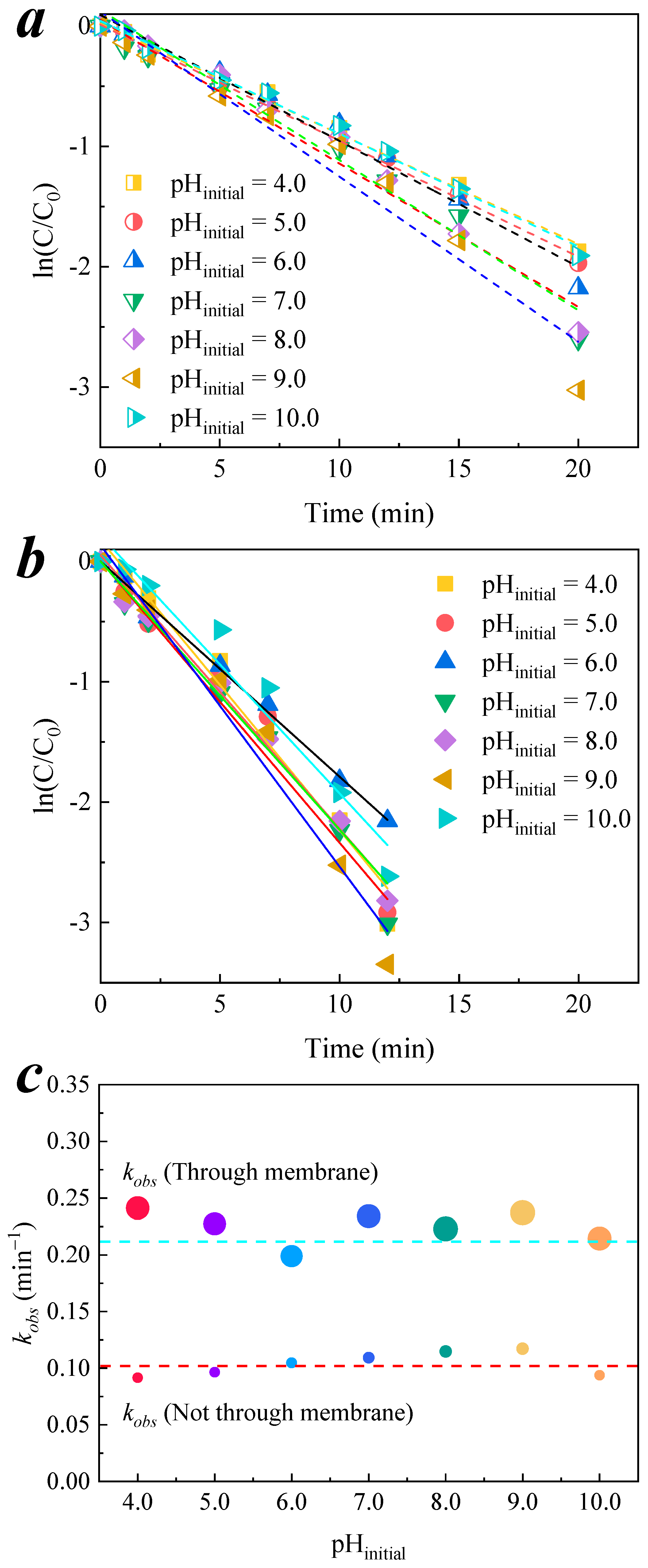 Membranes 11 00601 g008