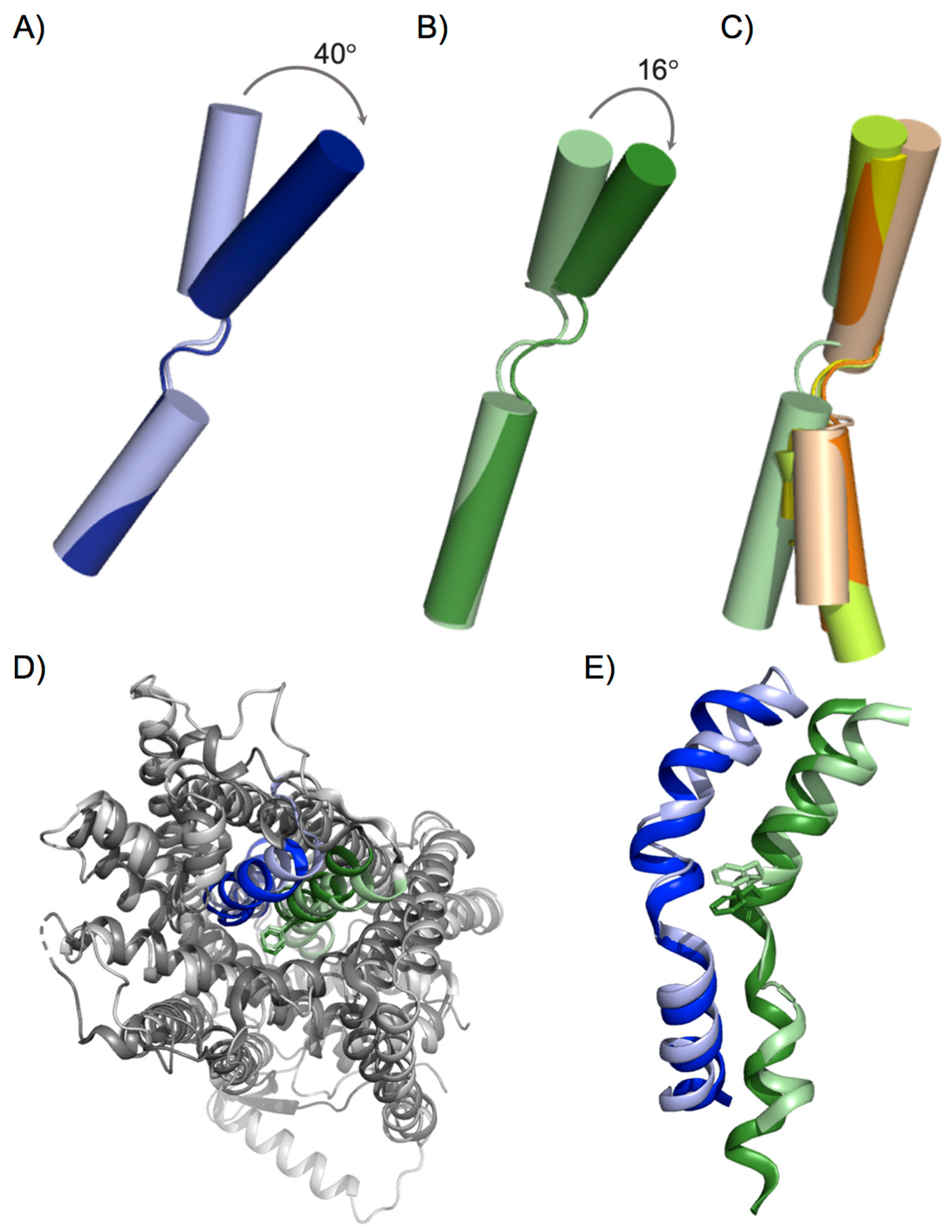 Membranes 11 00602 g002