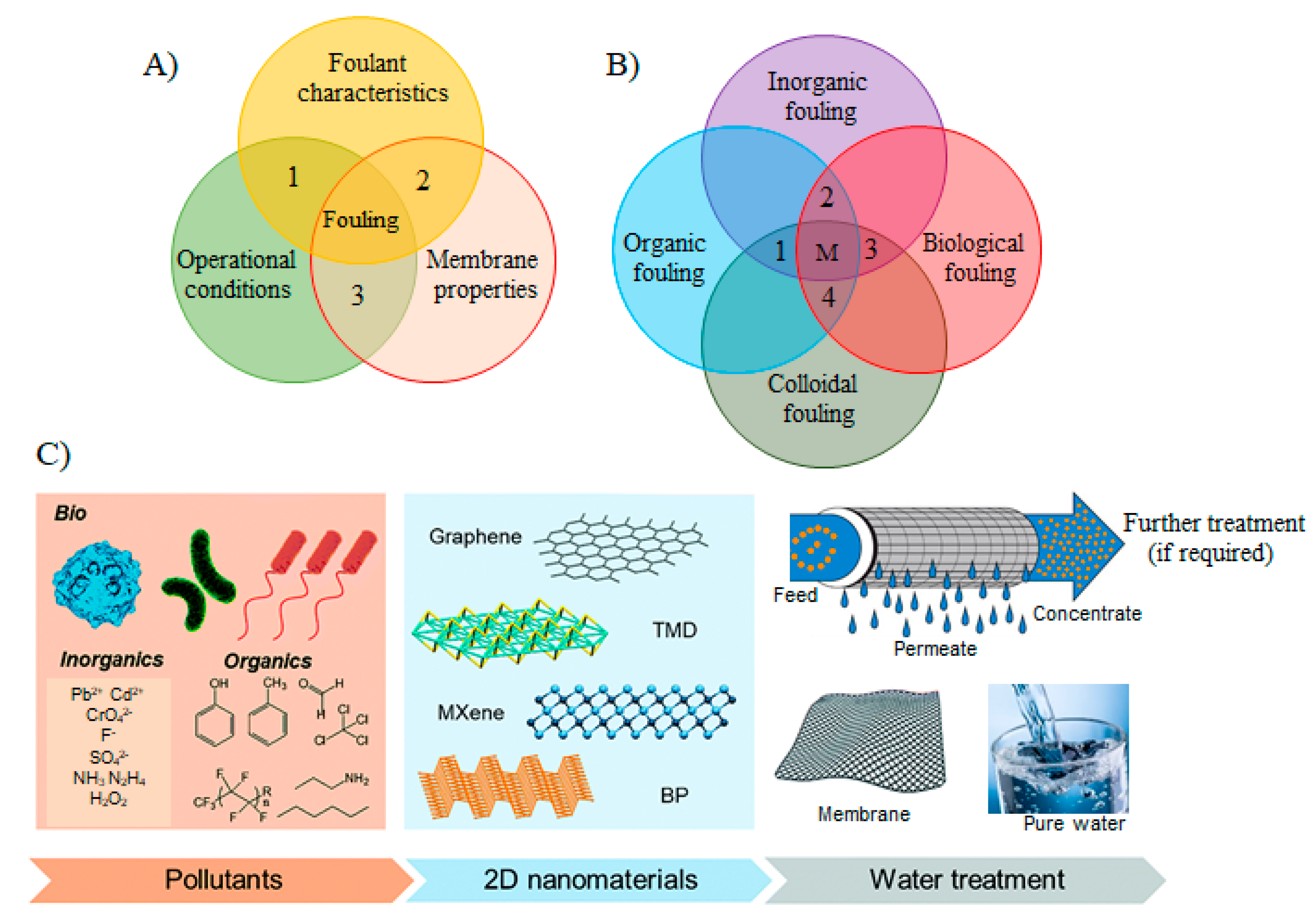 Membranes 11 00605 g002 550