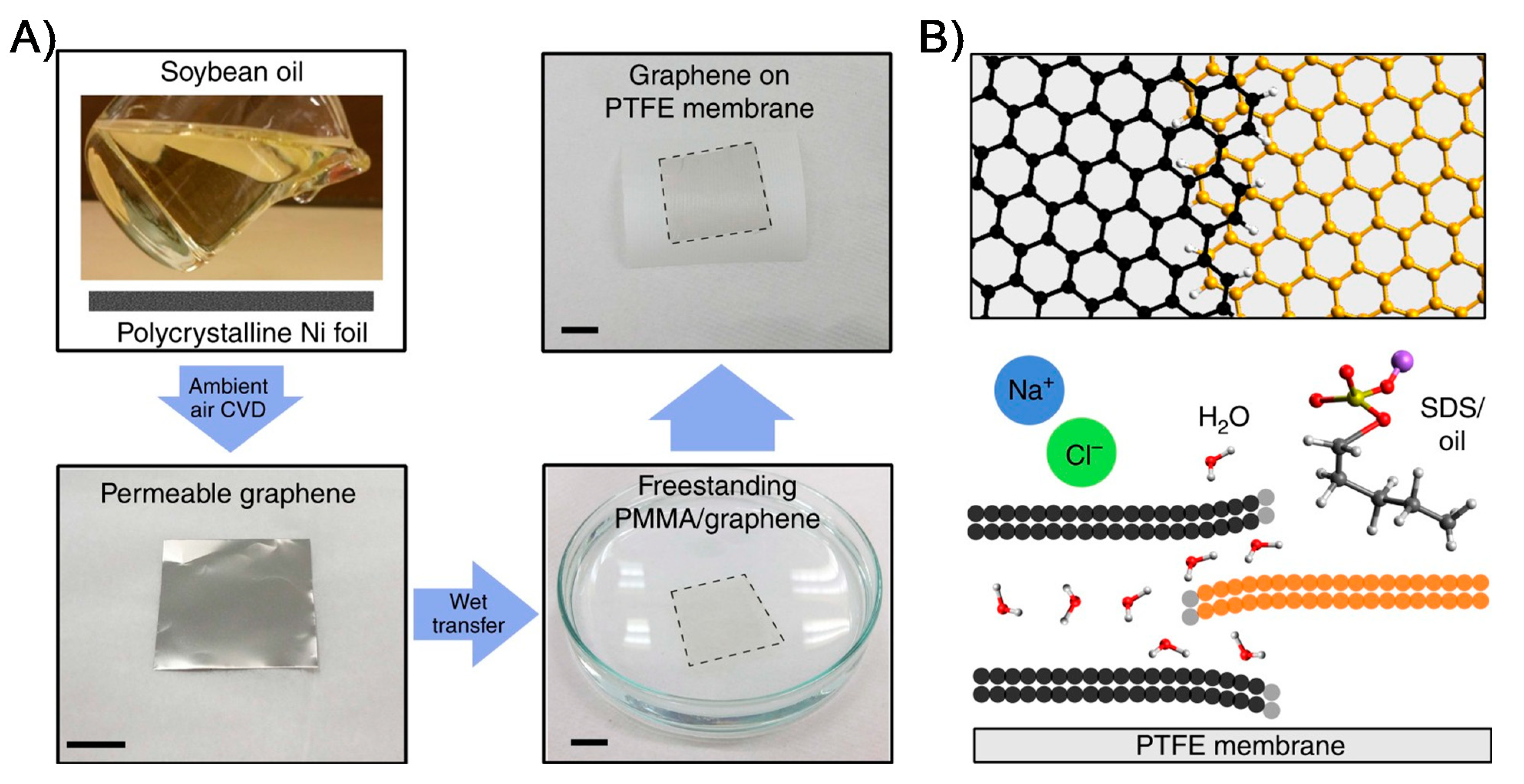 Membranes 11 00605 g004 550