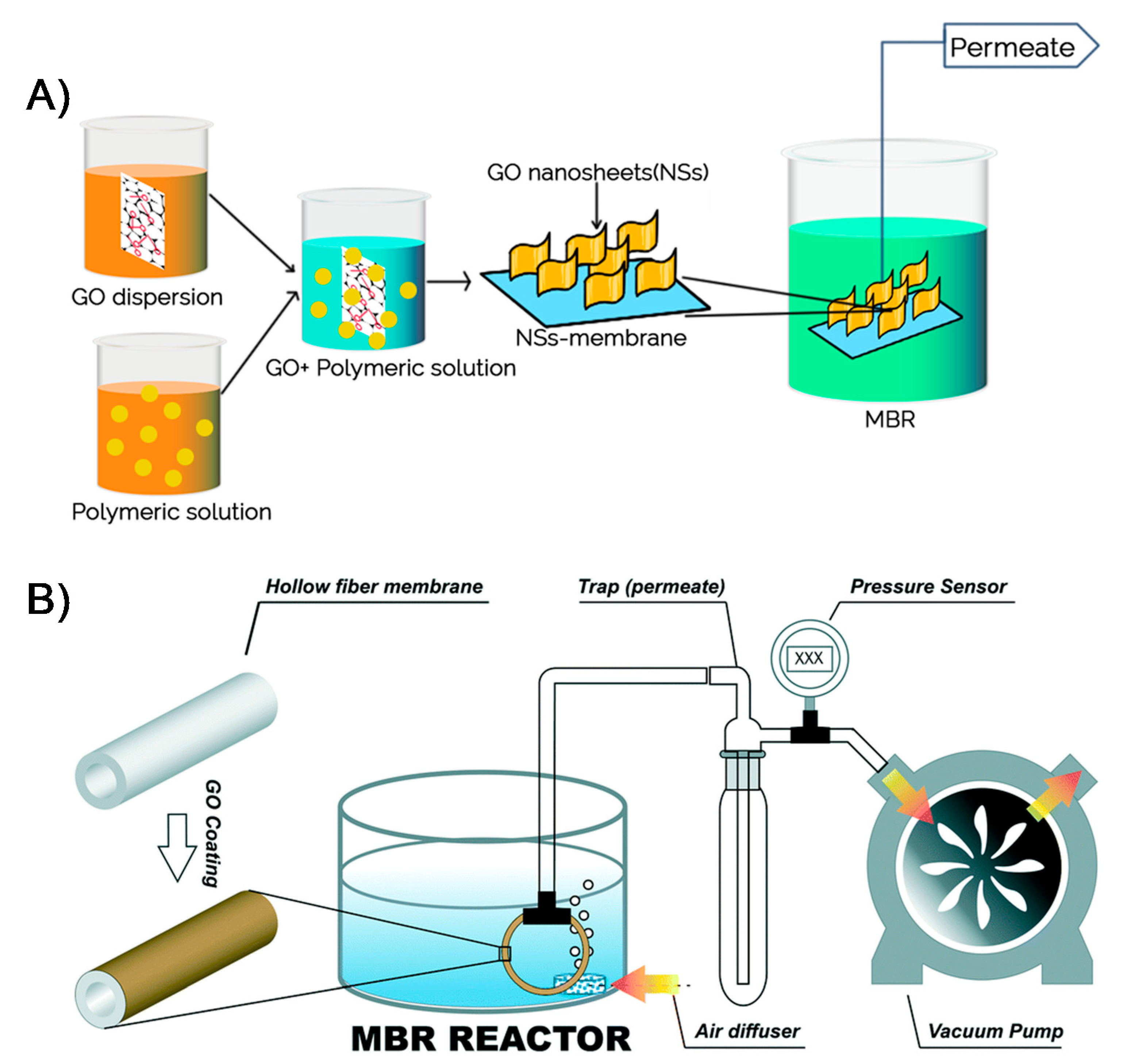 Membranes 11 00605 g007 550
