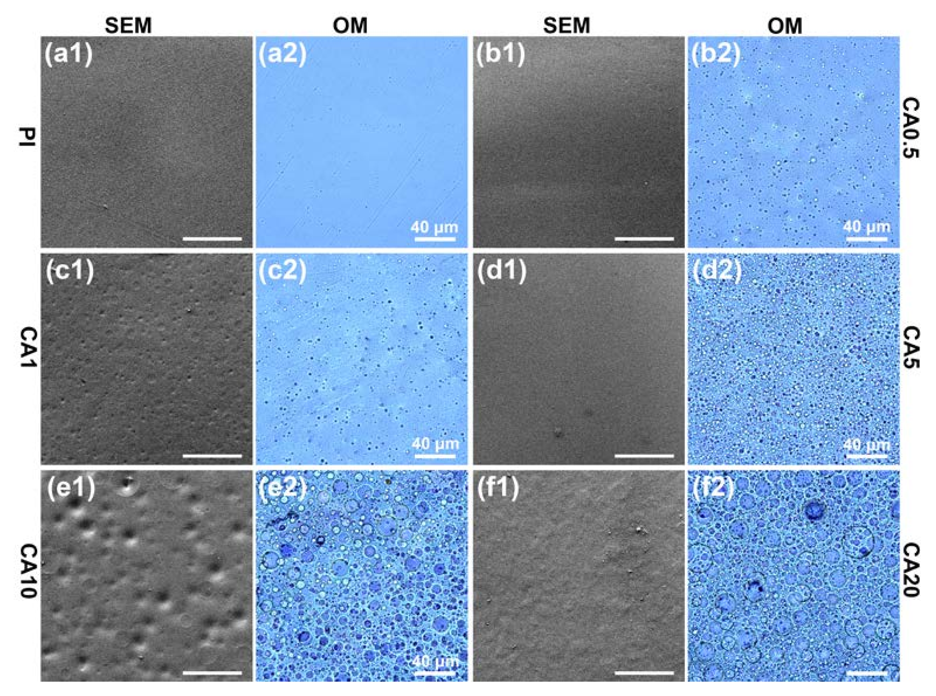 Membranes 11 00618 g002