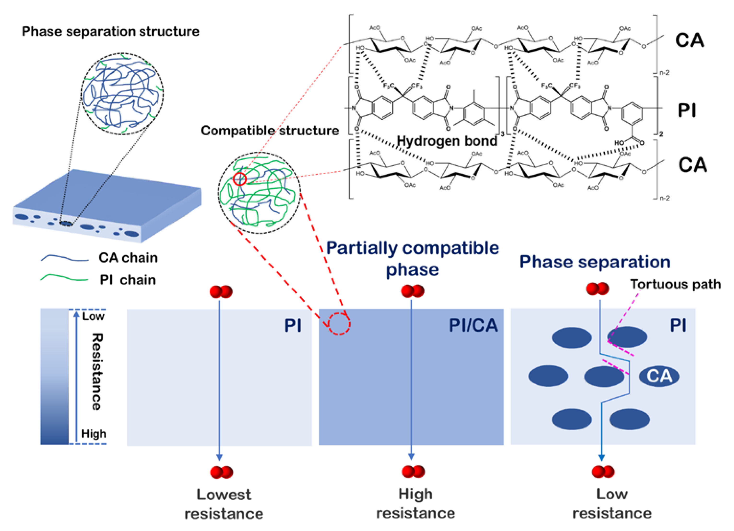 Membranes 11 00618 g005