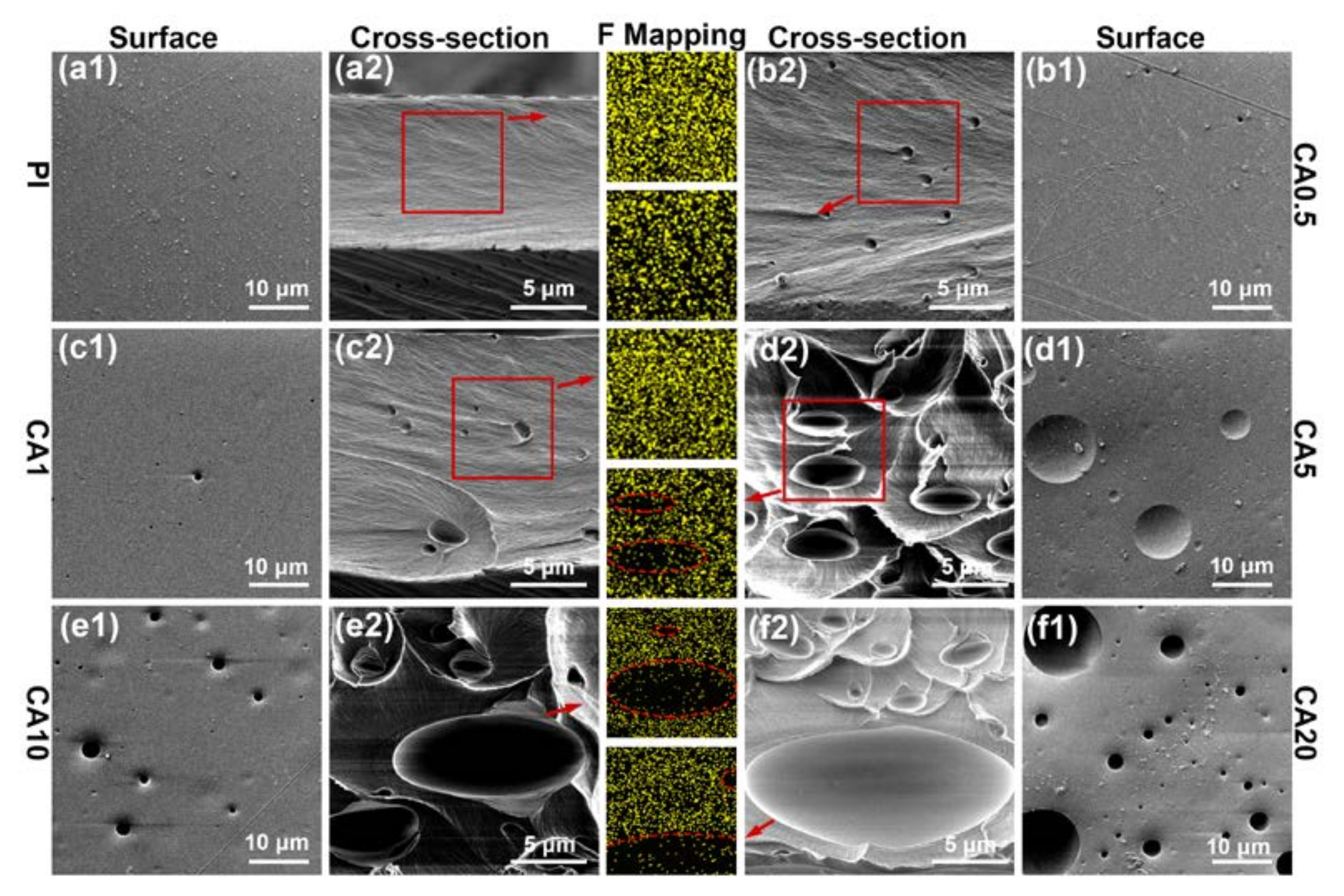 Membranes 11 00618 g007