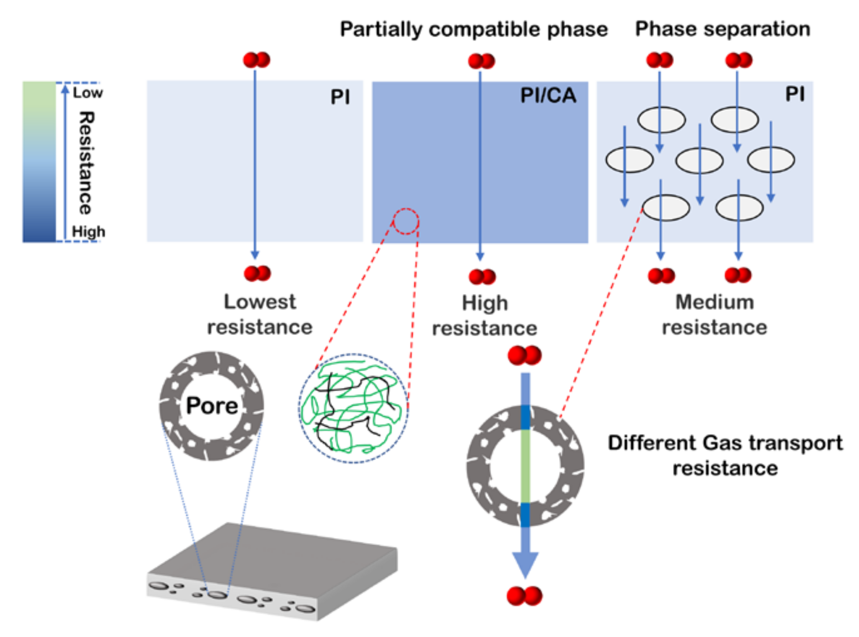 Membranes 11 00618 g010