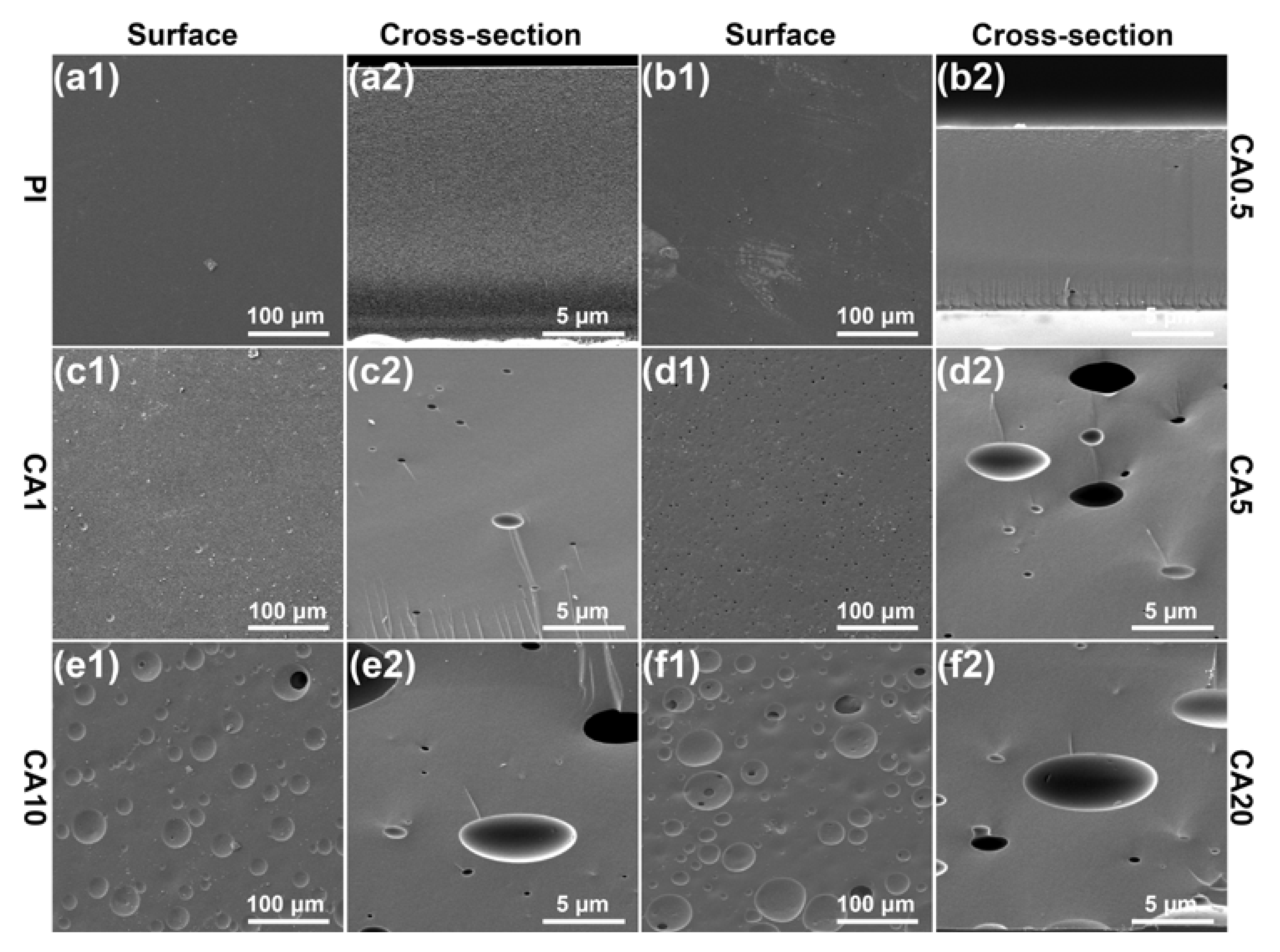 Membranes 11 00618 g011