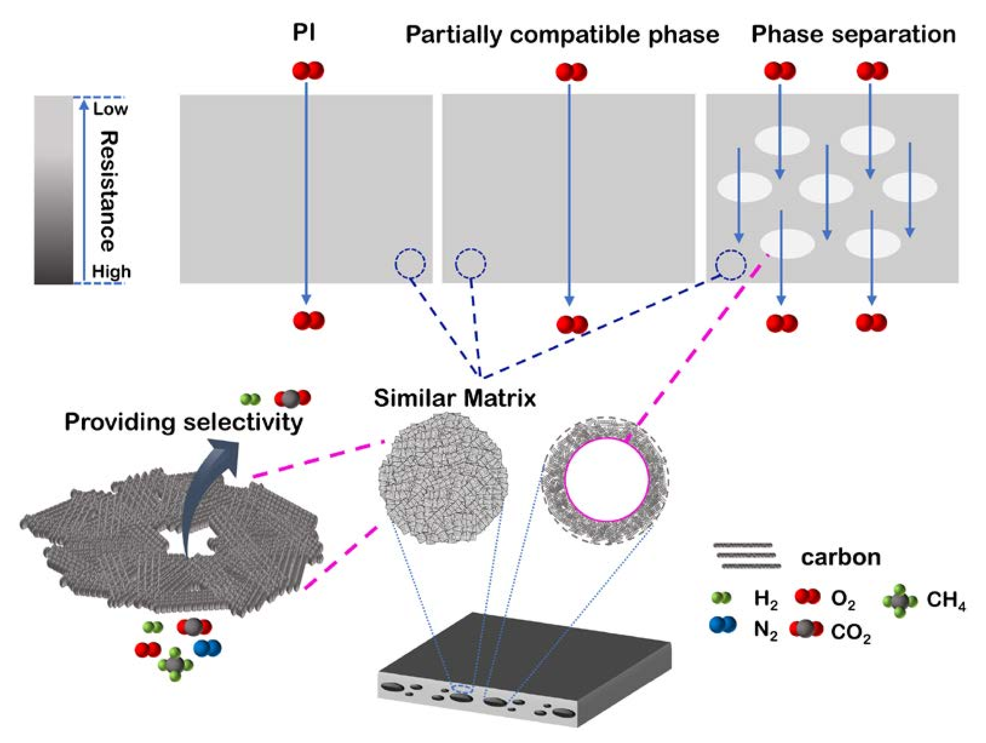 Membranes 11 00618 g013